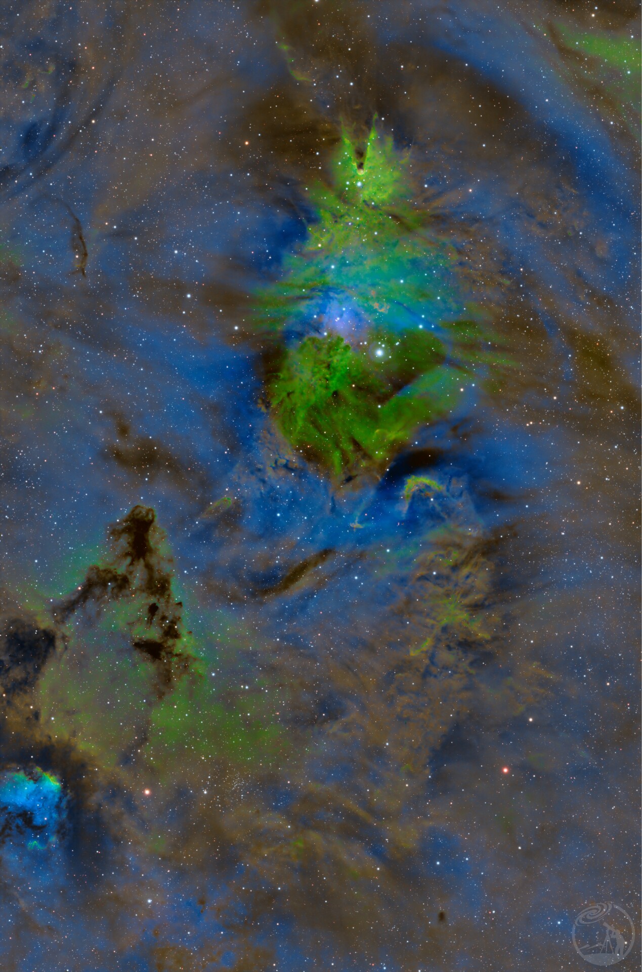 圣诞树就应该是绿色的