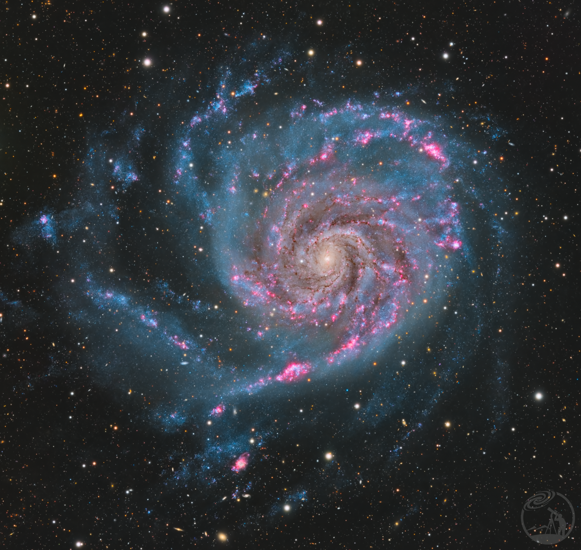 M101 洞察