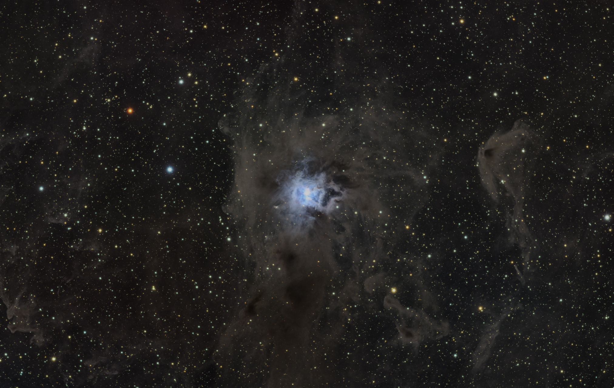 四级区20小时 NGC7023鸢尾花星云