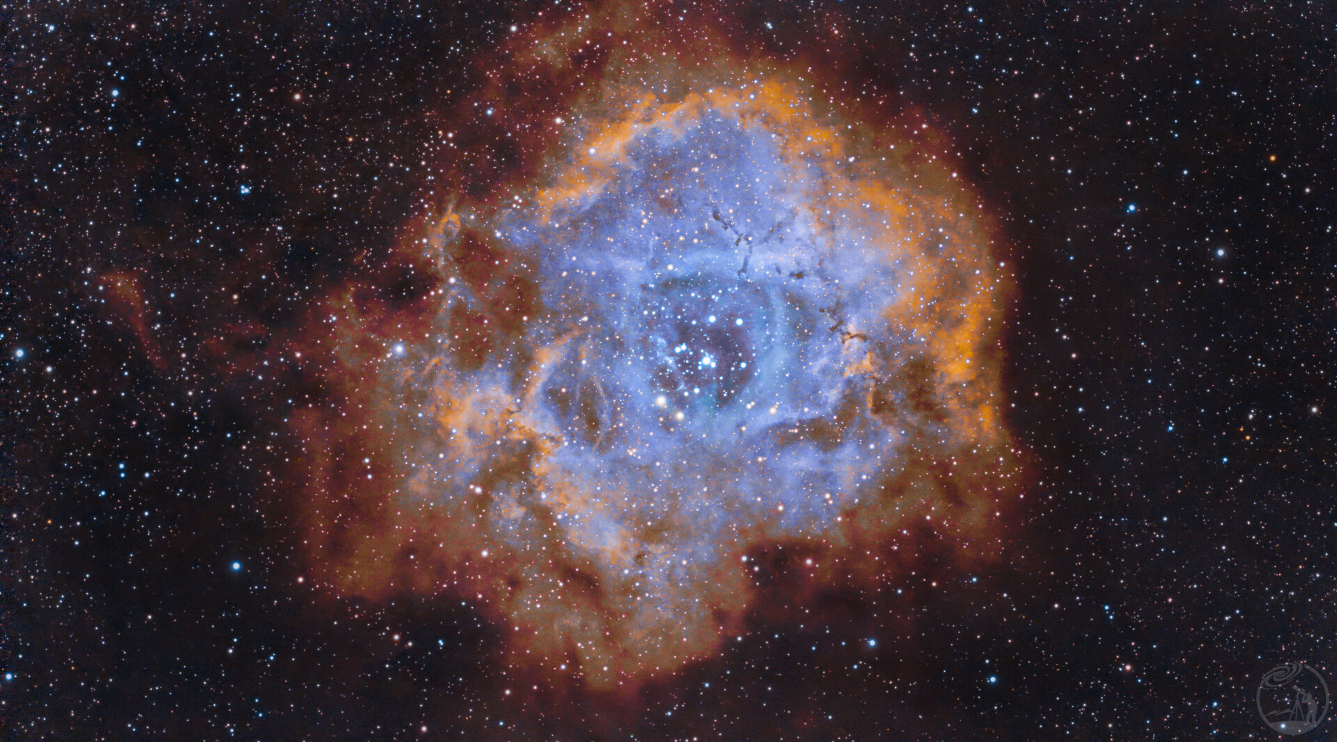 老家四级区打野