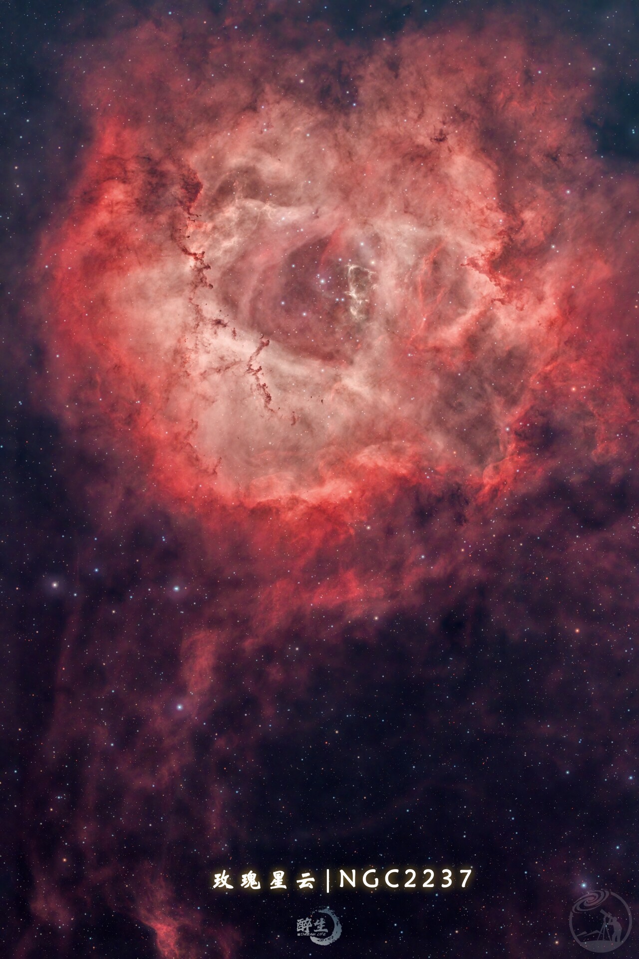 一朵带枝的星空玫瑰🌹