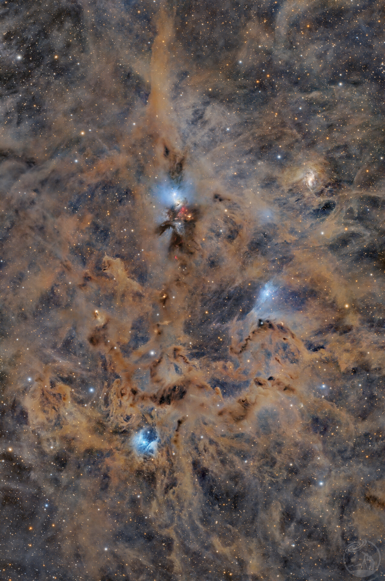 NGC1333｜胚胎星云