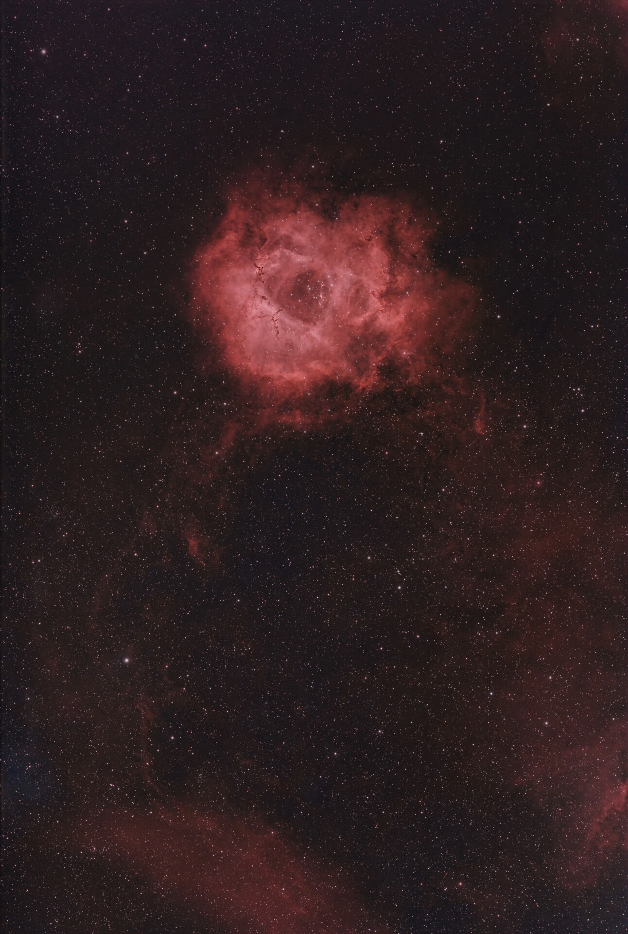 NGC2244玫瑰里云