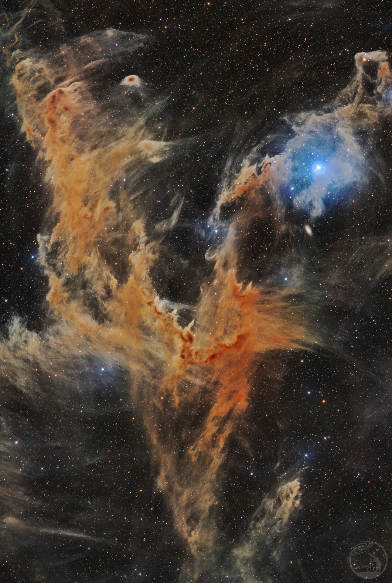 IC3140 变色龙暗云