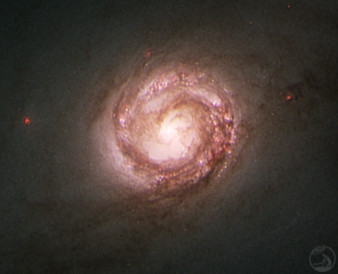 NGC 1300棒旋星系和星系核