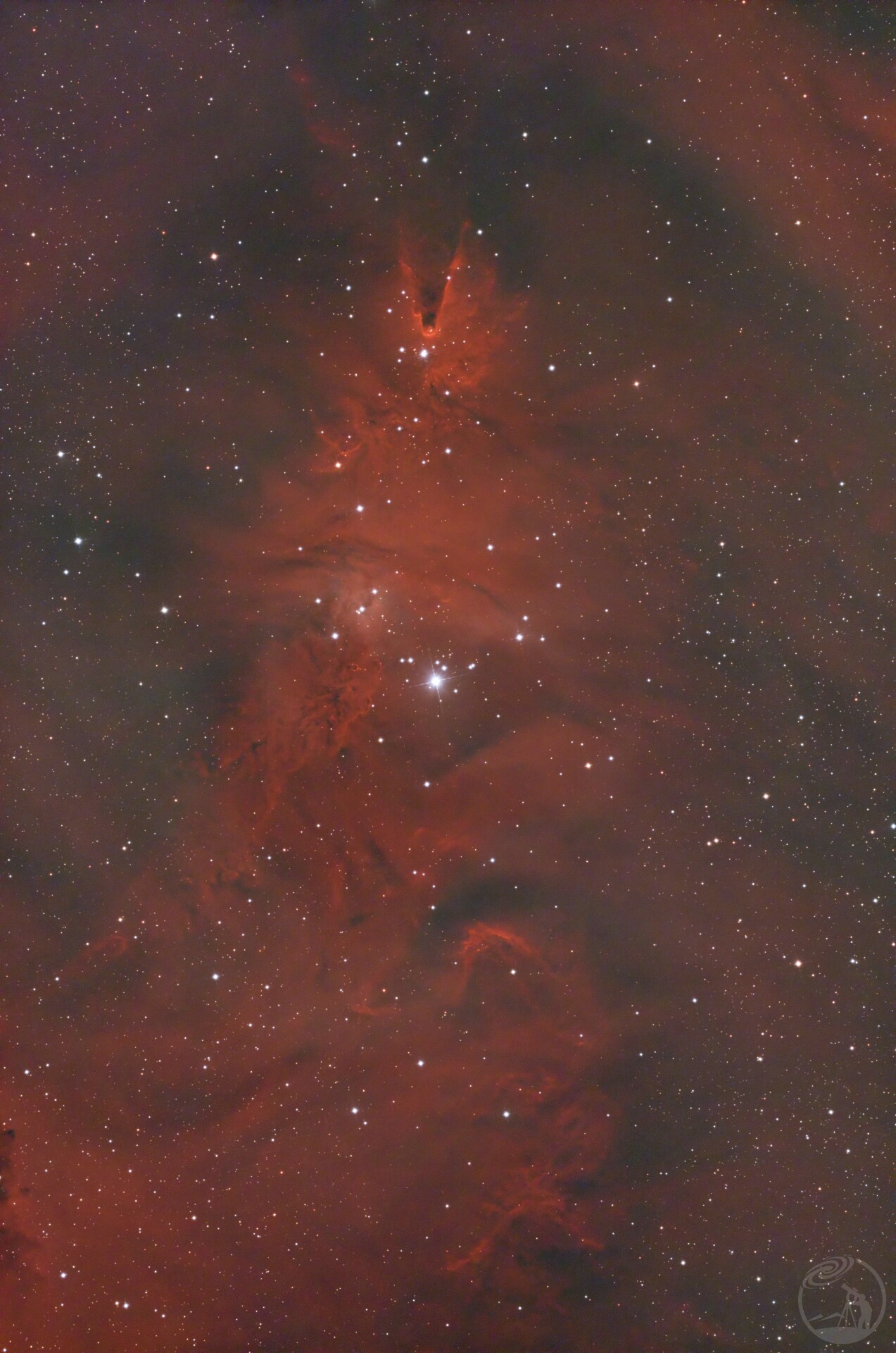 NGC2264圣诞树星云