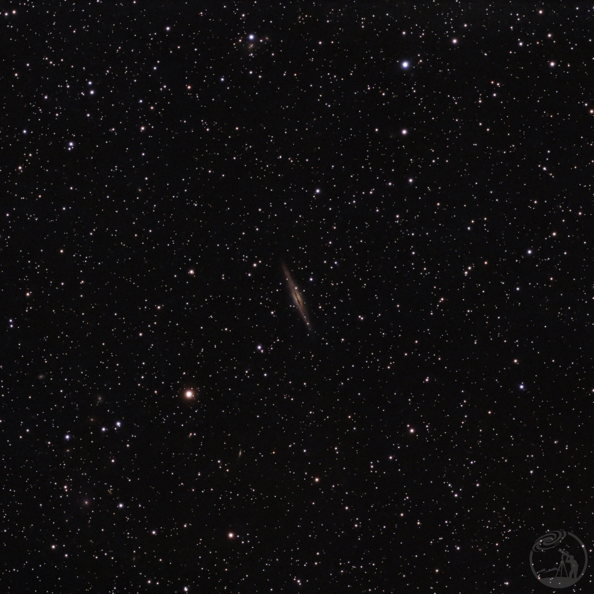 侧颜双璧：宇宙的狂野与优雅