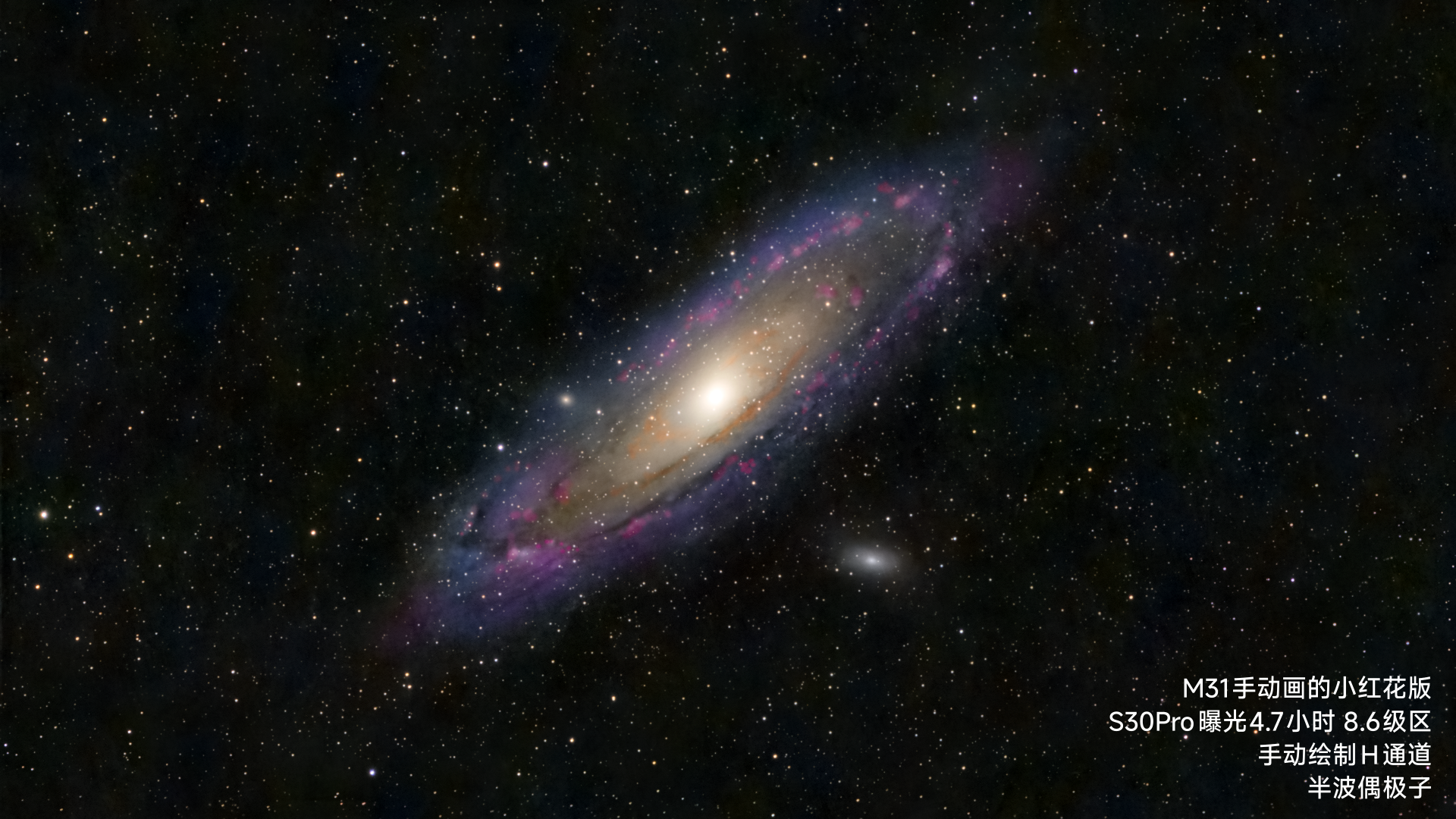 没有小红花就手绘