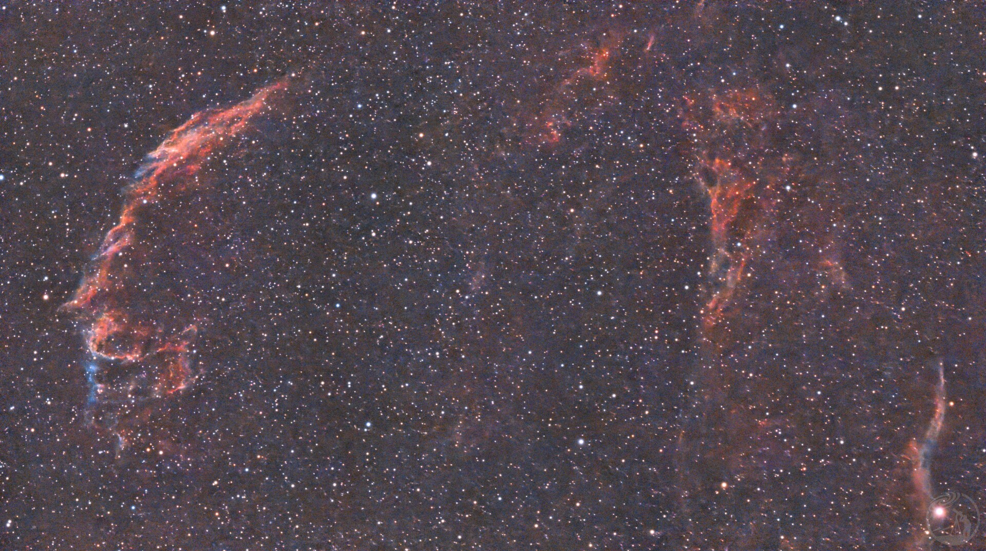 抓一会儿夏天的尾巴