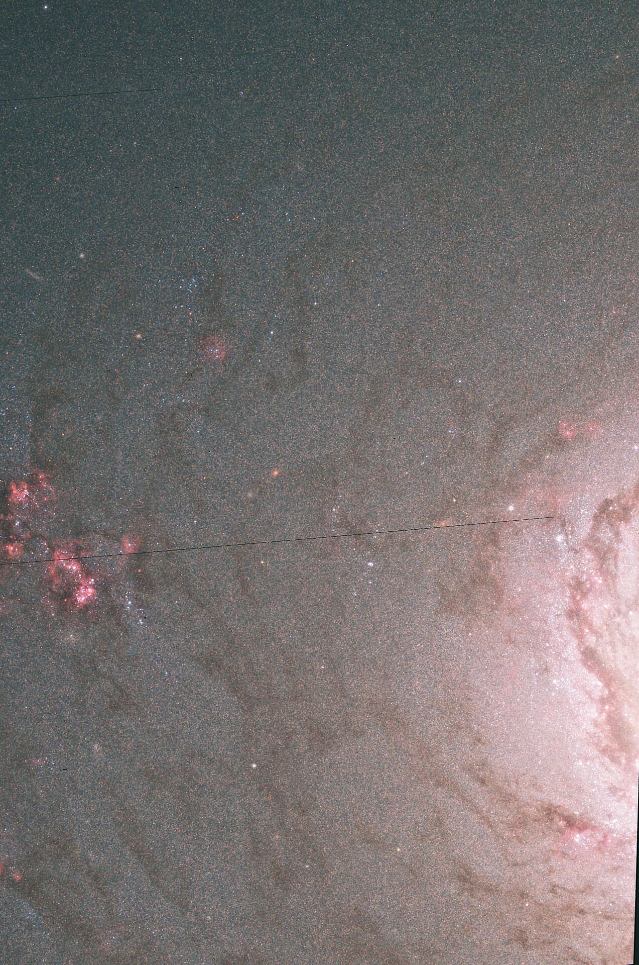 葵花星系丰富的尘埃