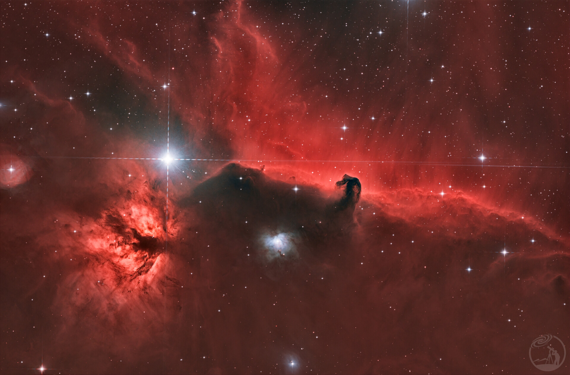 用错滤镜的马头