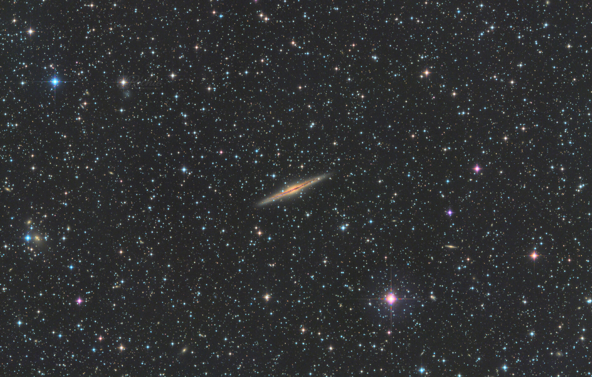 ngc891
