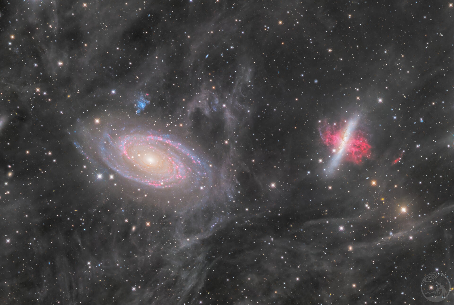 340小时 M81M82与IFN