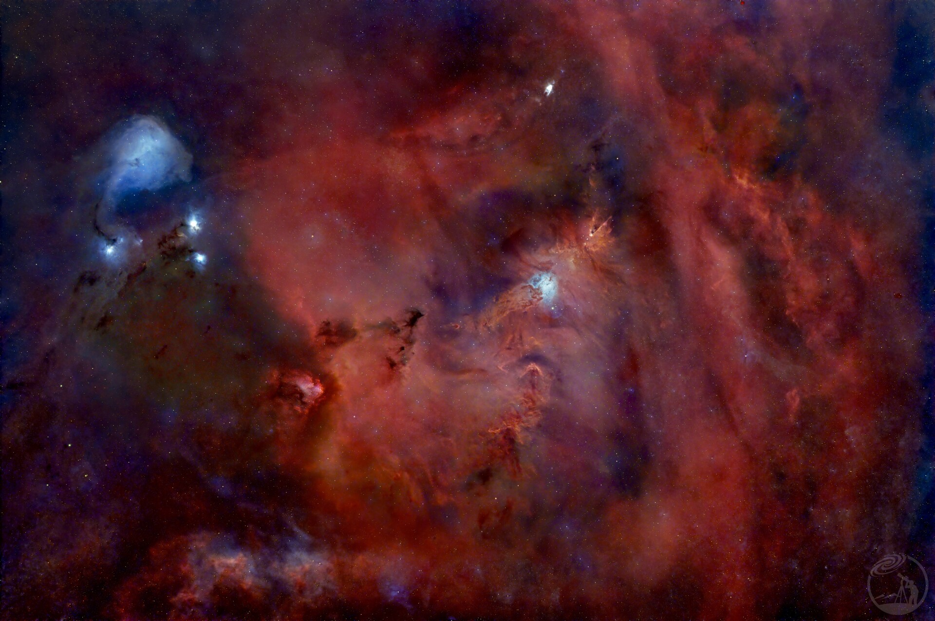 圣诞树与小鲸鱼