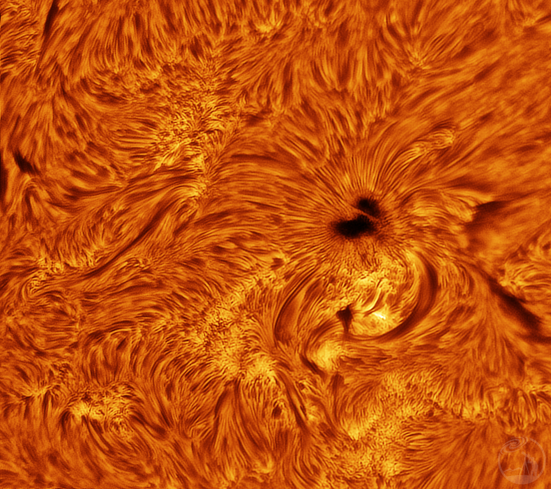 1.13 4336黑子群Hα