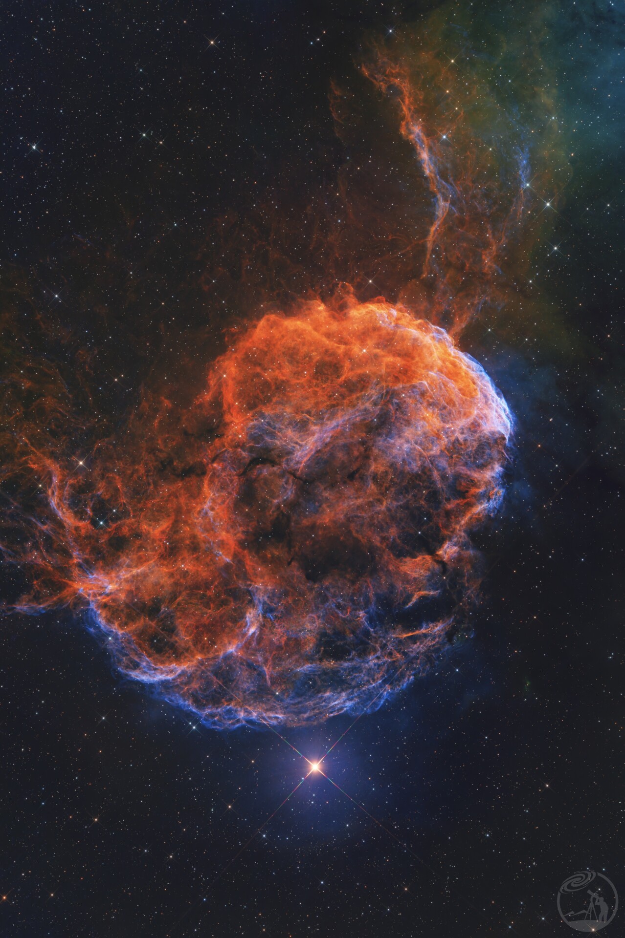 IC443  大橙子🍊风味水母