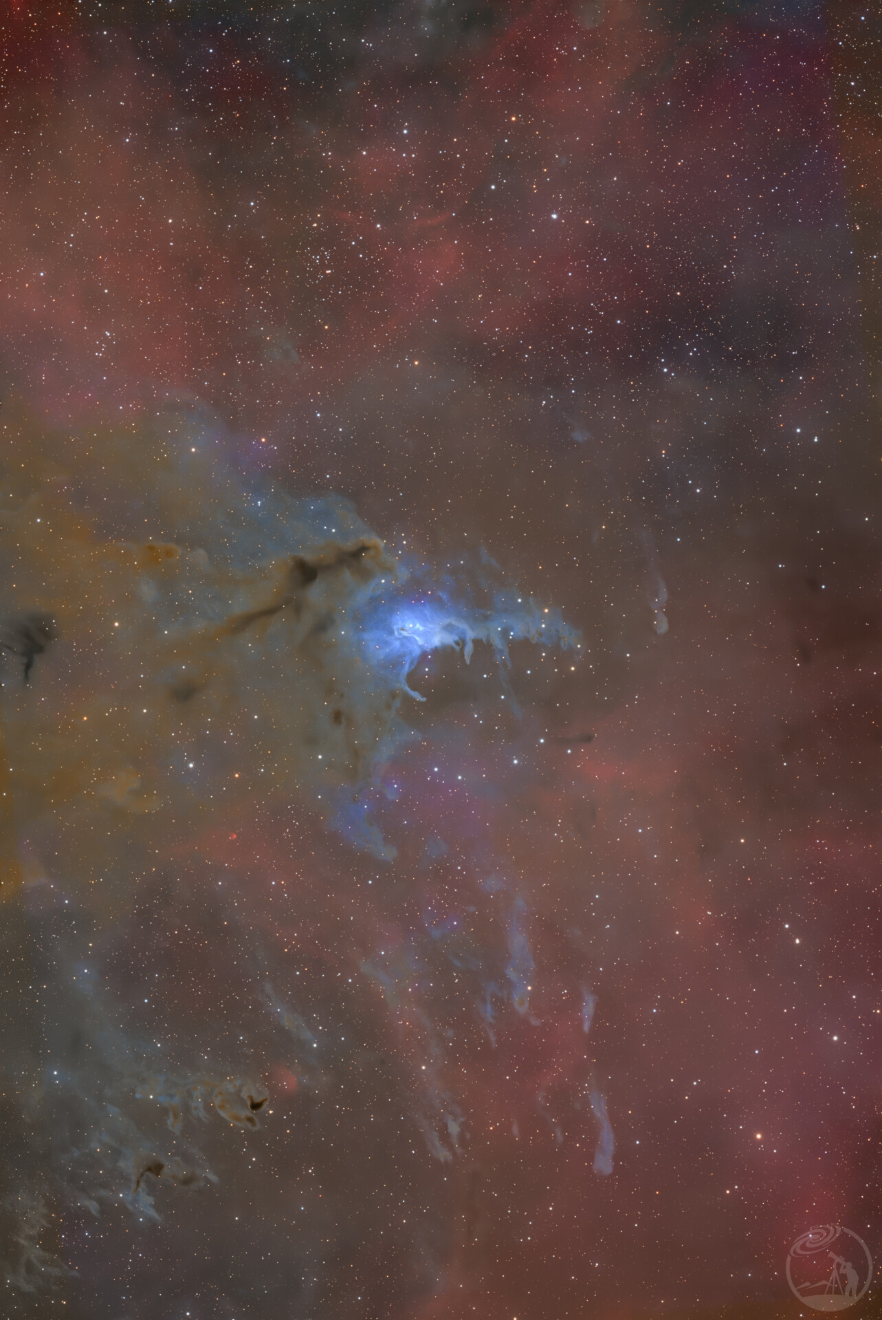 红烧蓝梭子蟹星云