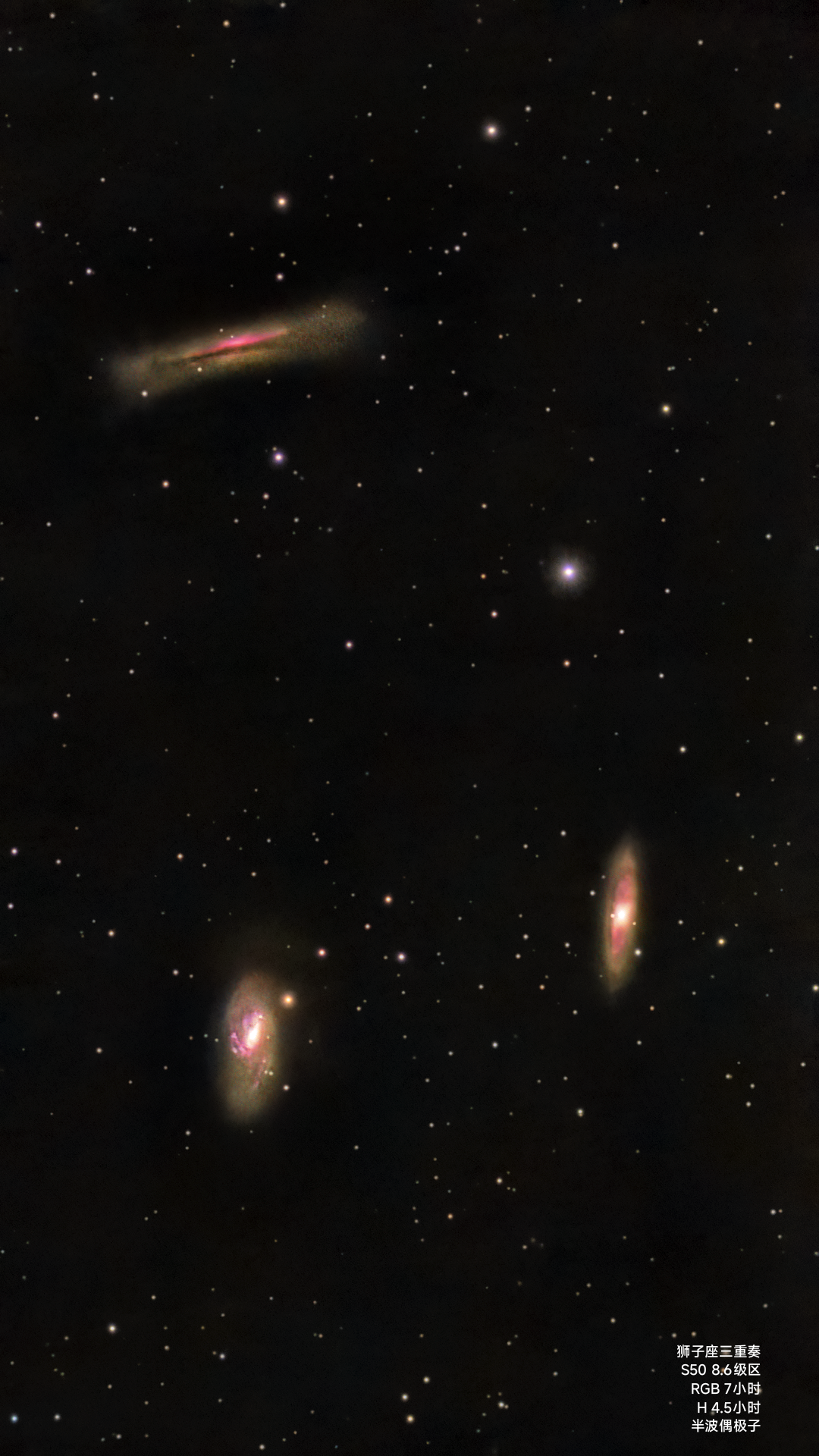 S50狮子座三重奏小红花版