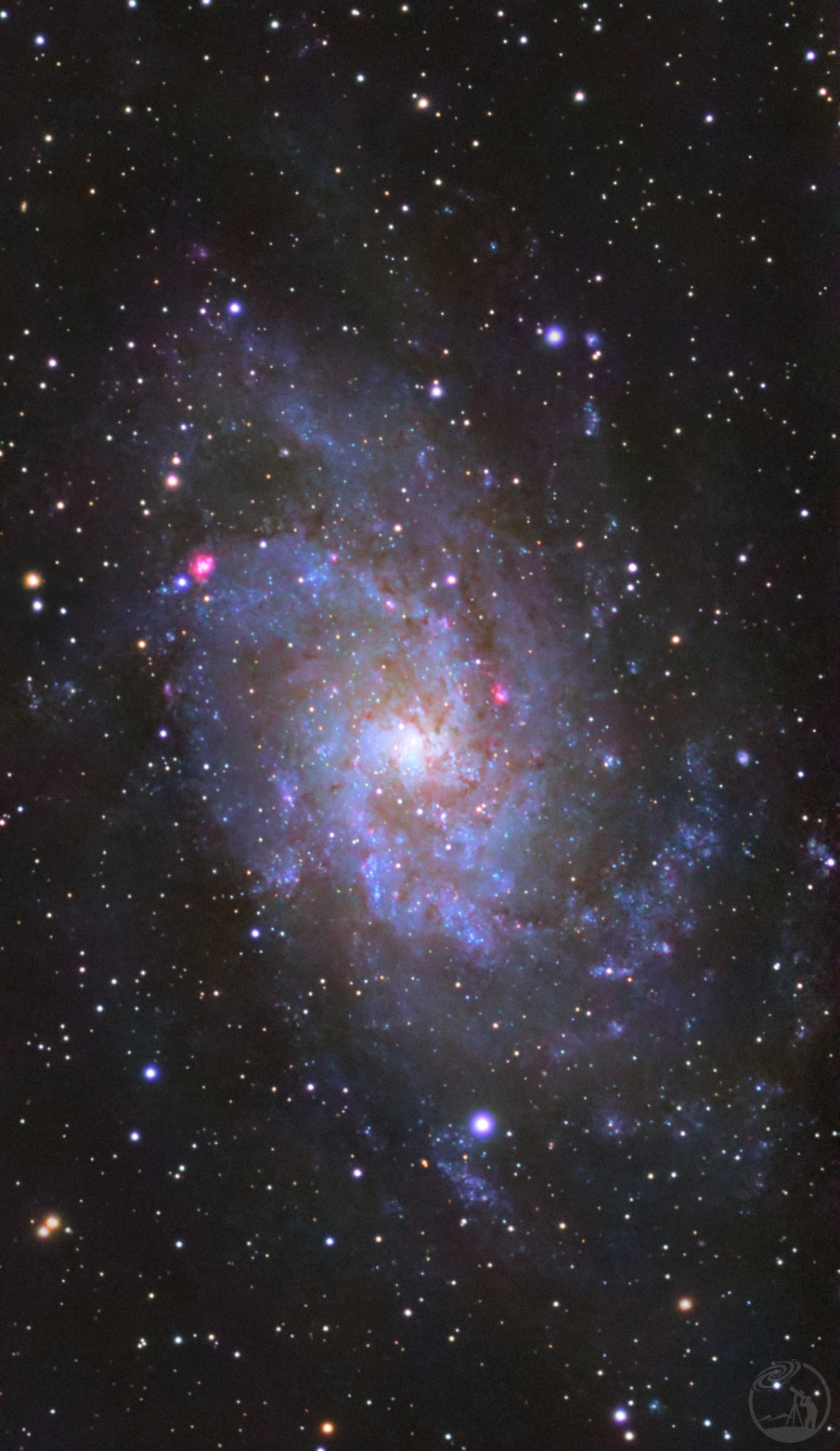 M33