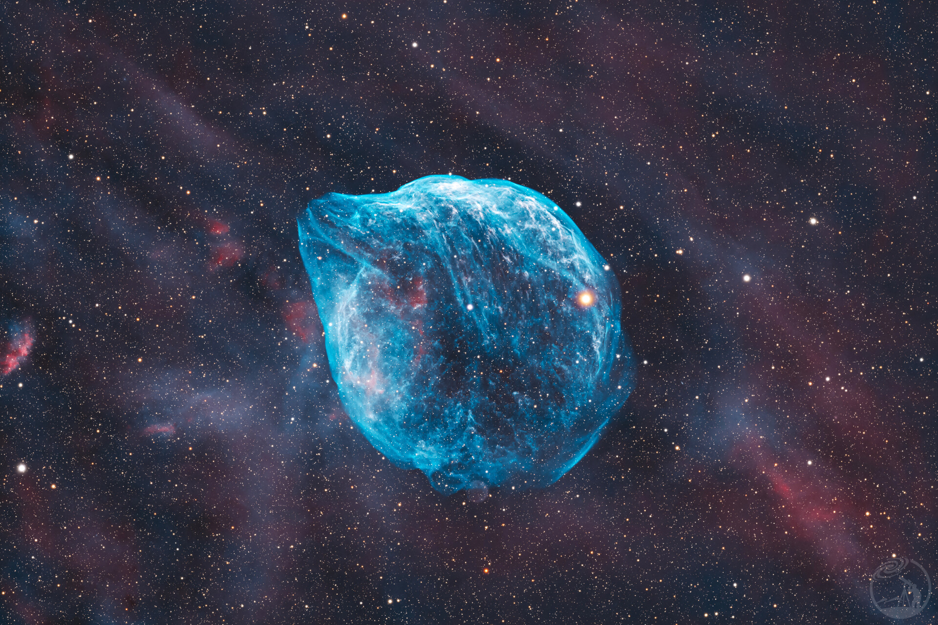 可可爱爱小海豚