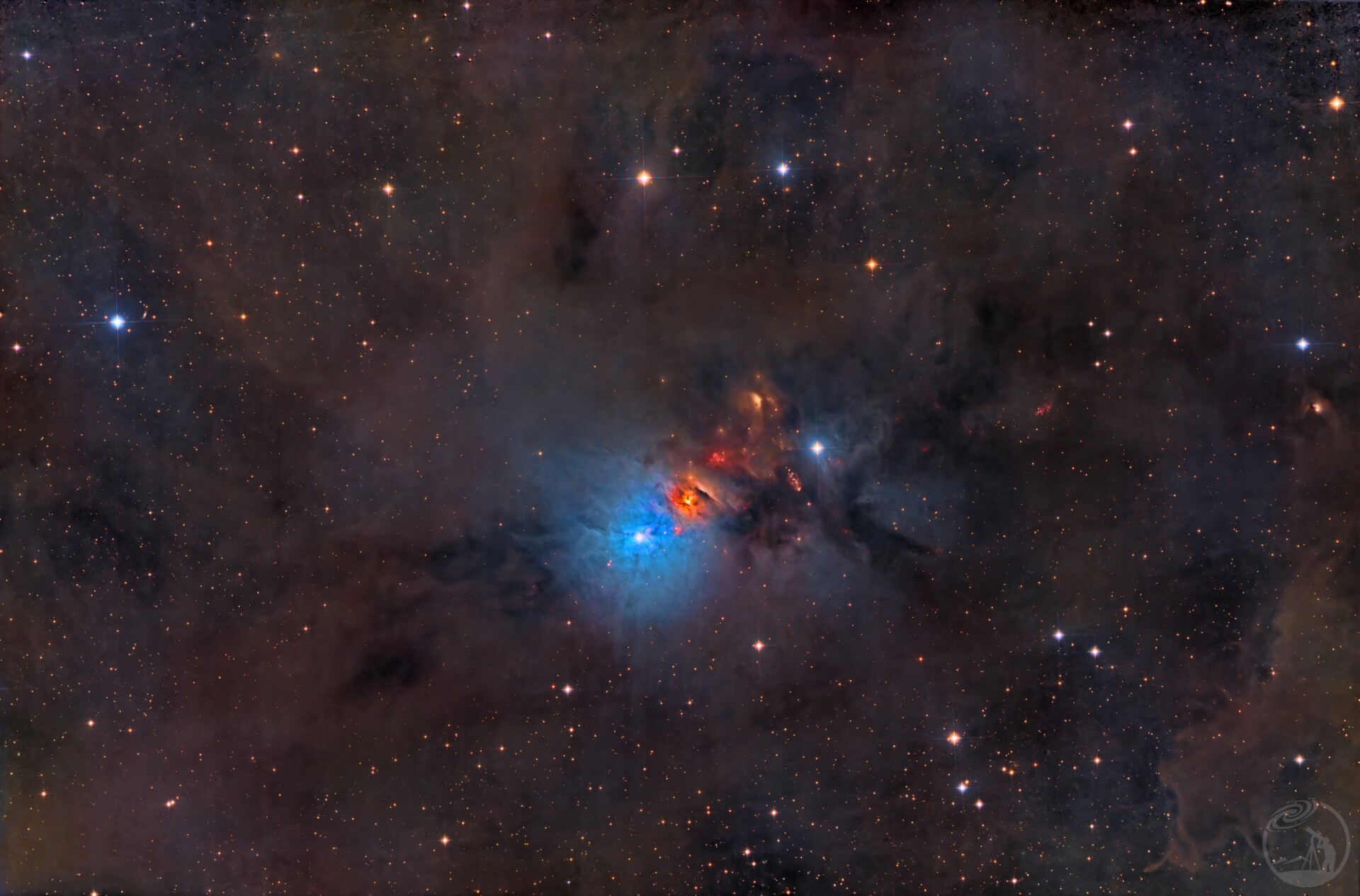 胚胎内有几胞胎