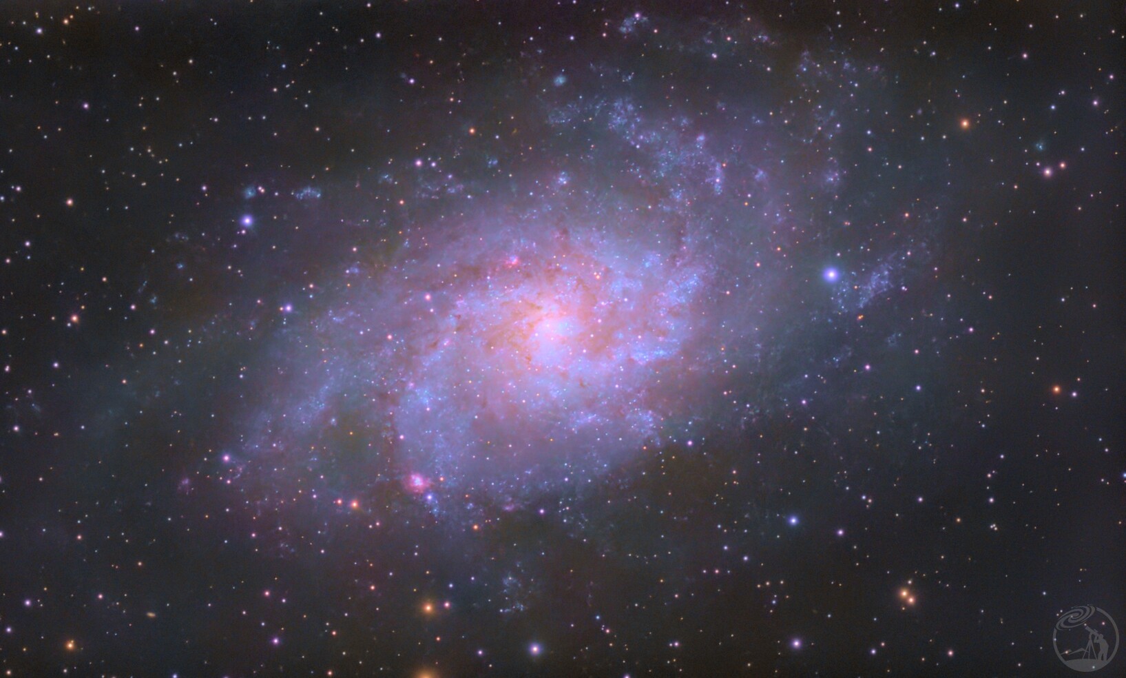 M33