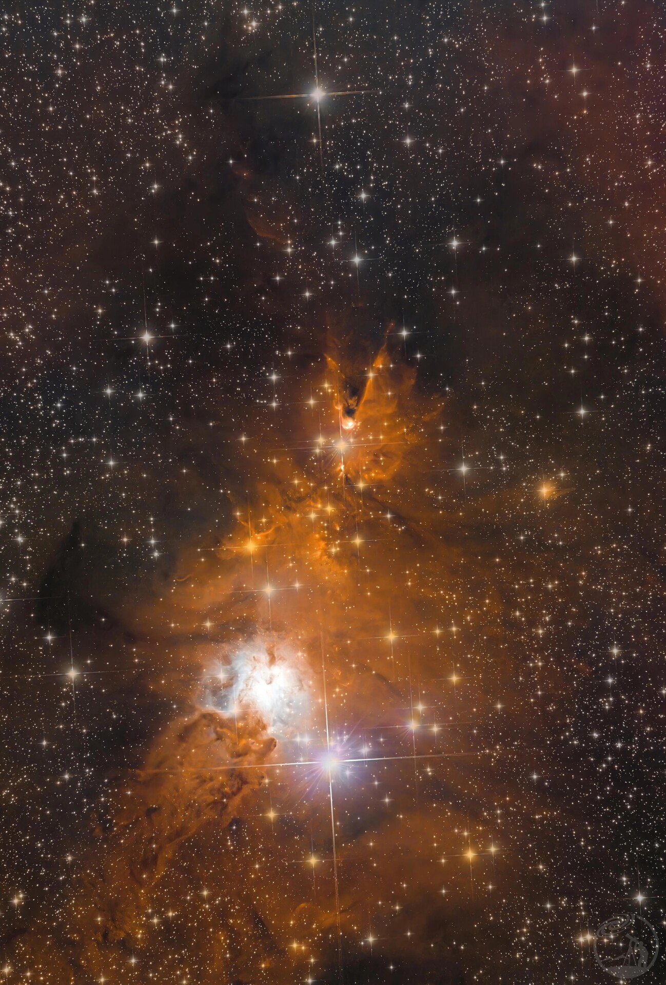 NGC2264圣诞树