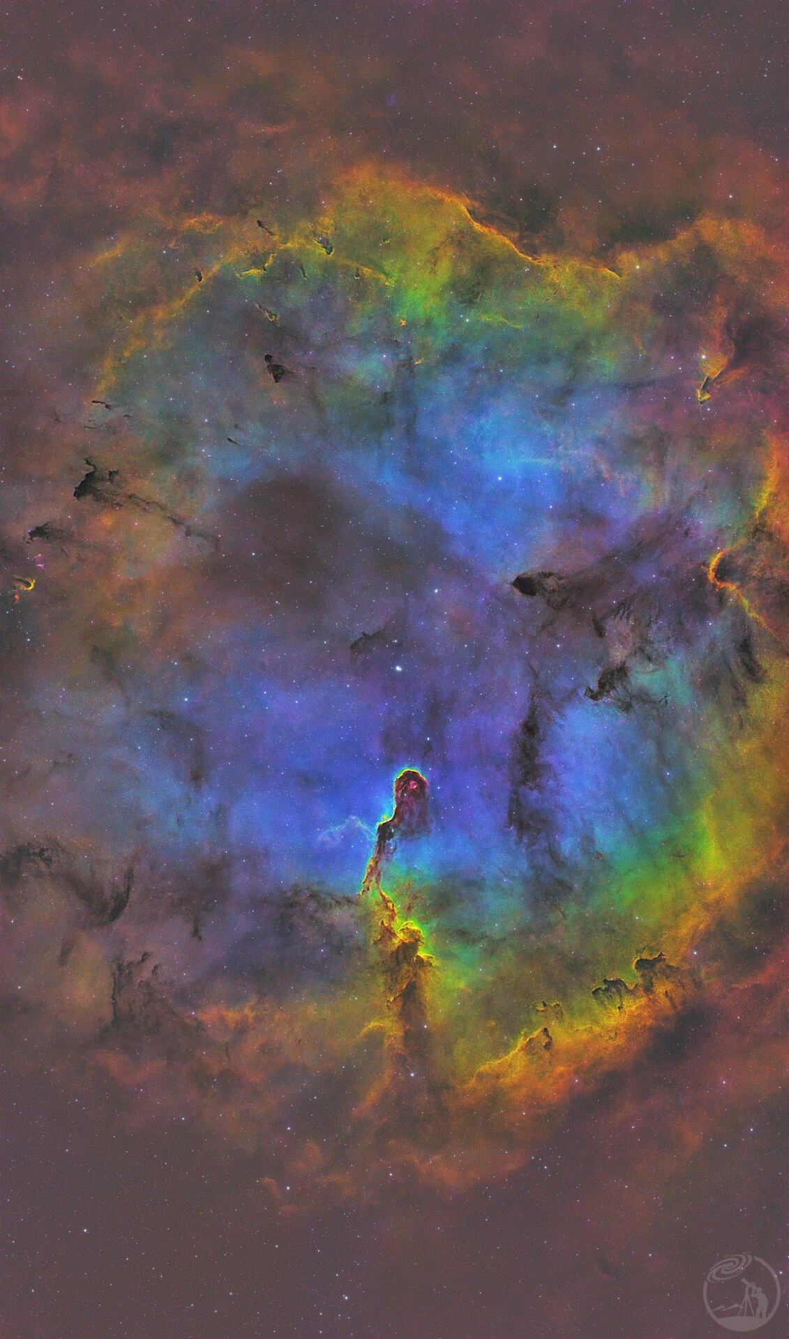 IC1396
