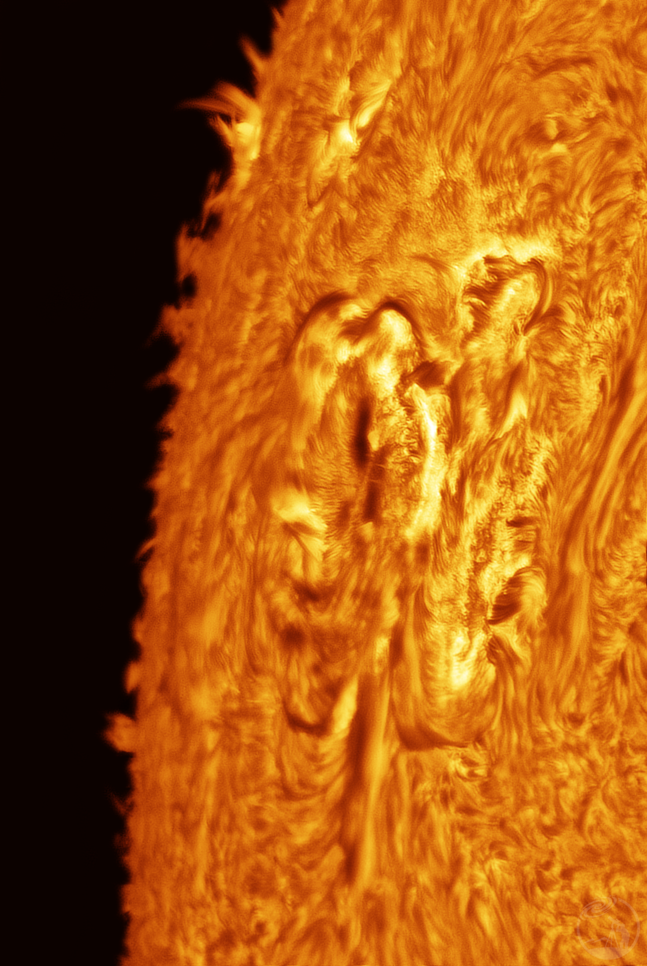 1.15 4341黑子群Hα