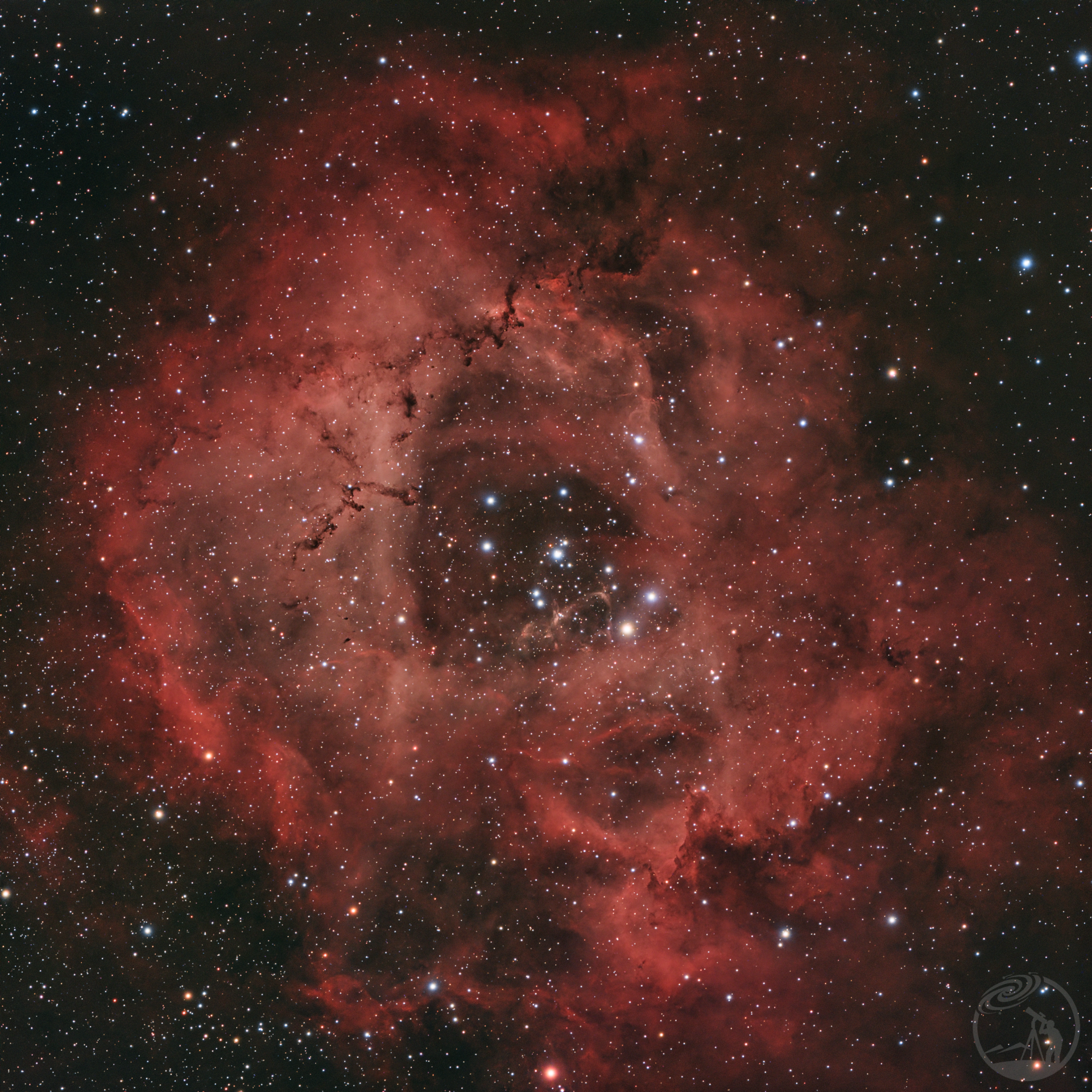 我想要占据你的玫瑰NGC2244