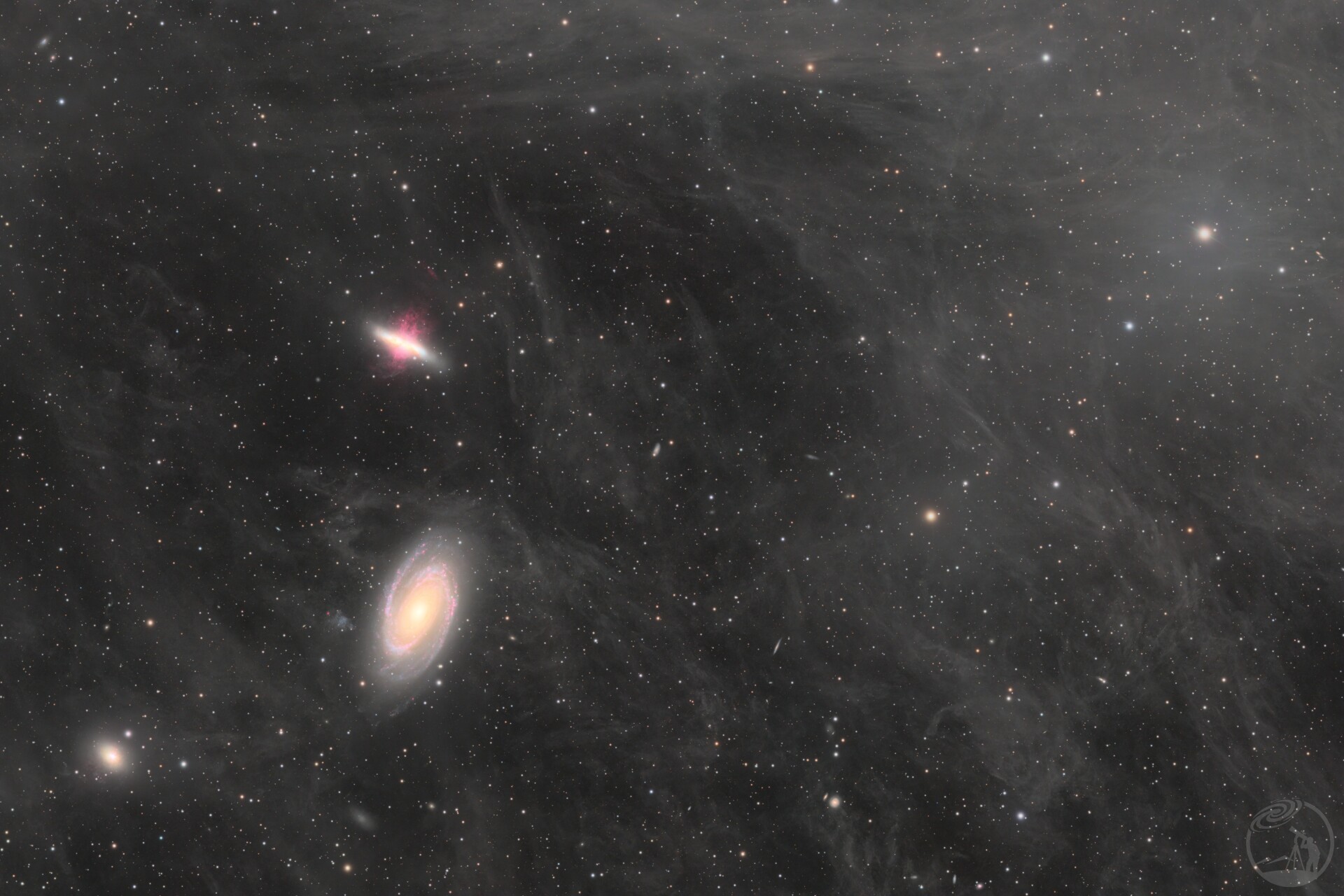 M81
