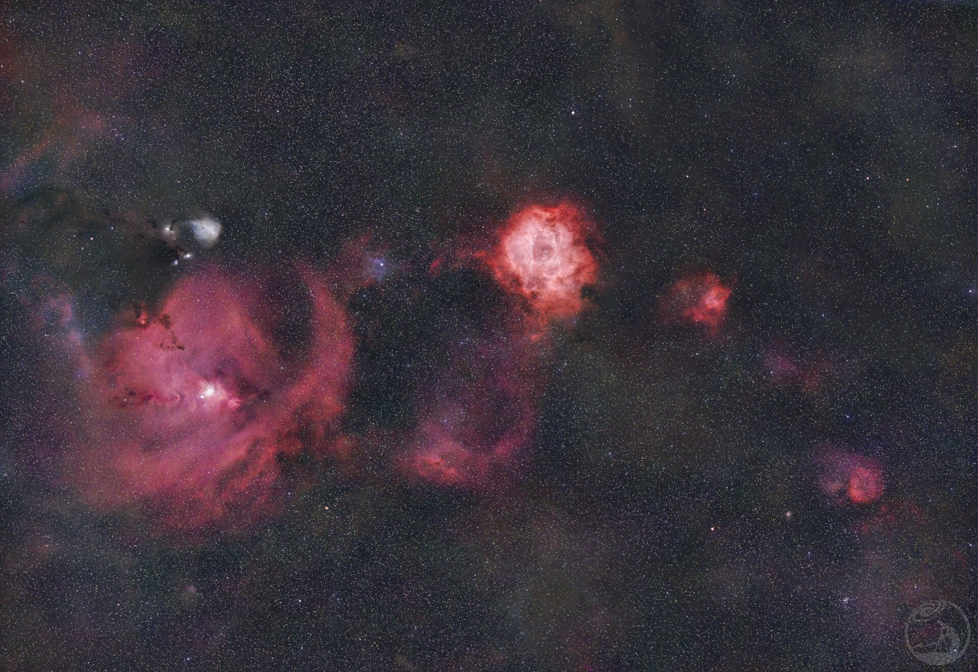 玫瑰圣诞树广域