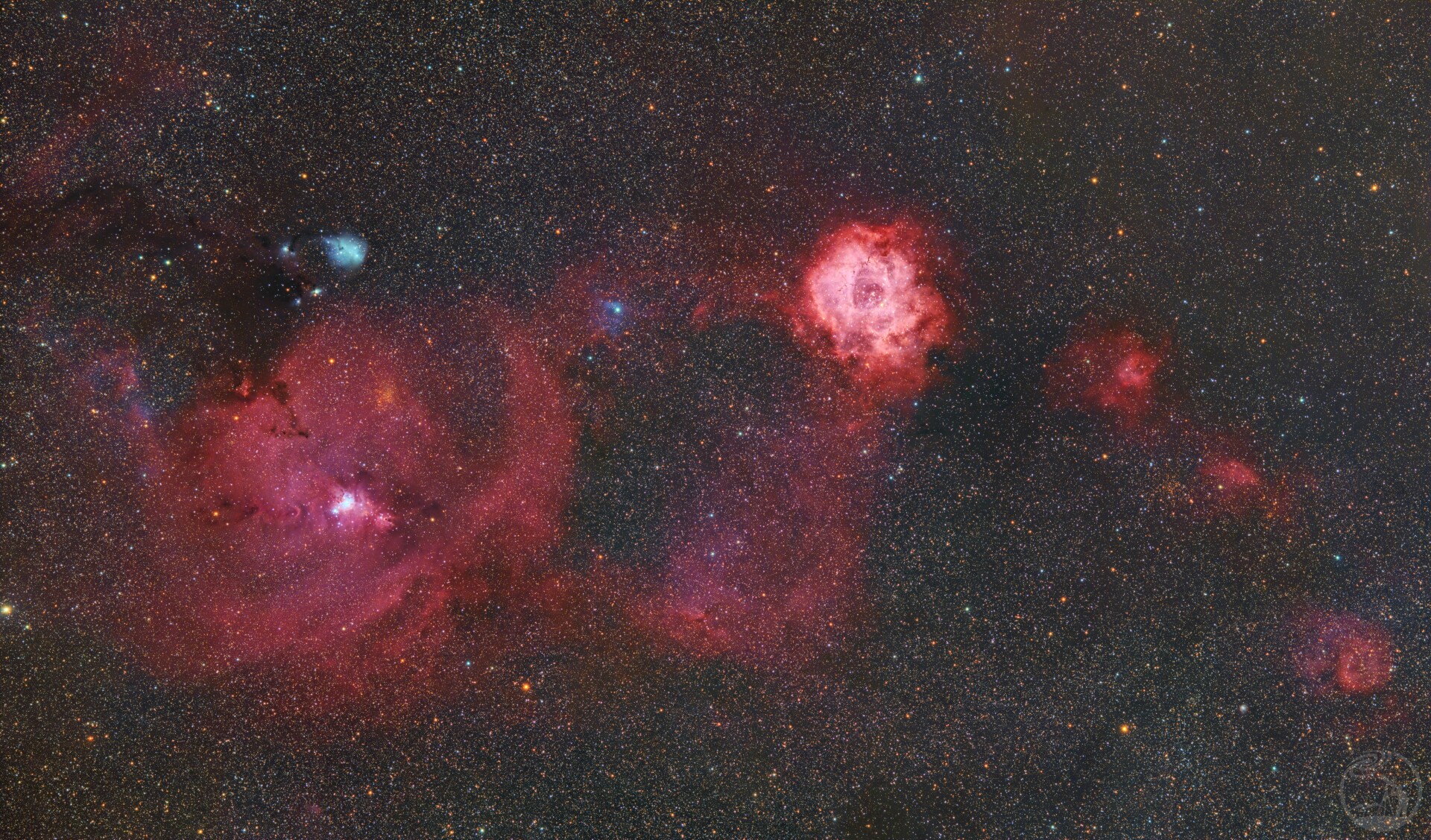 玫瑰圣诞树广域二修