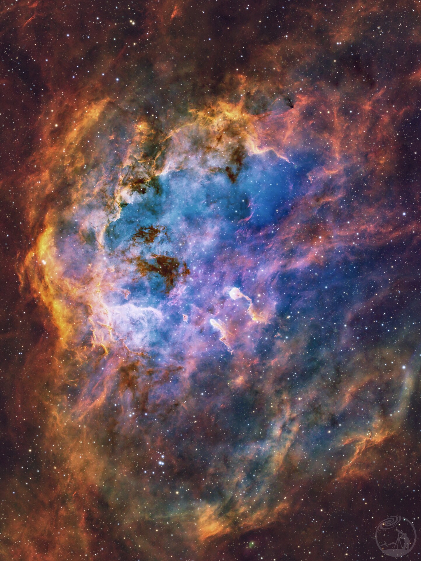 不一样的蝌蚪星云