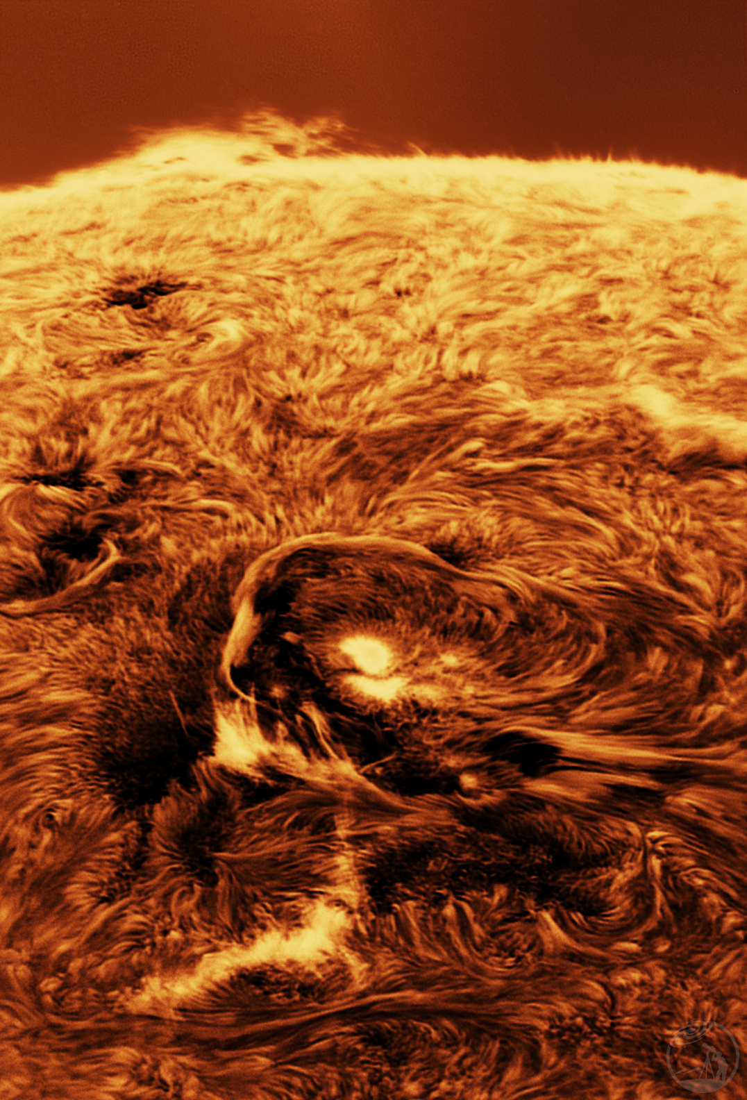 刚转过来的大黑子 01-16