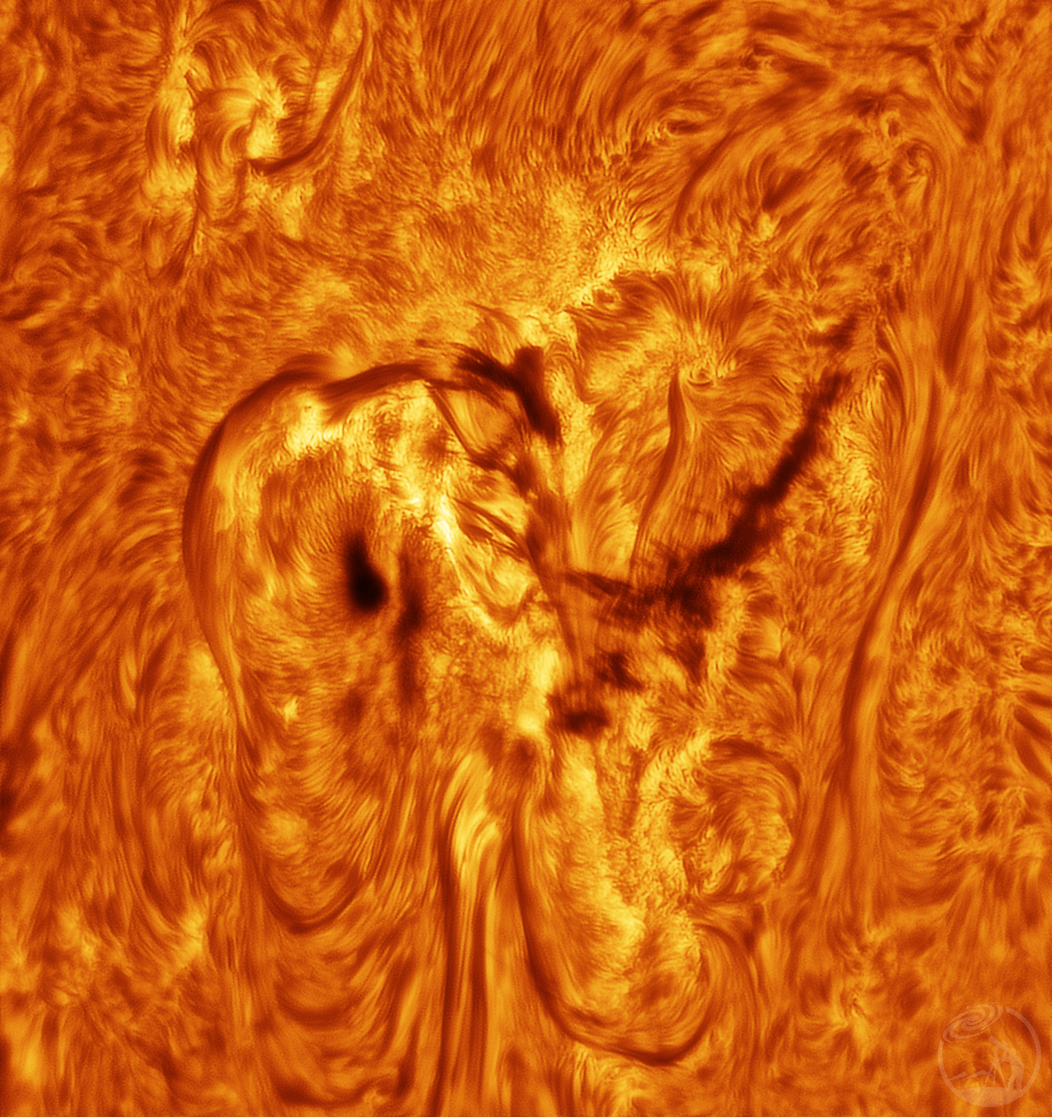 1.16 4341黑子群Hα