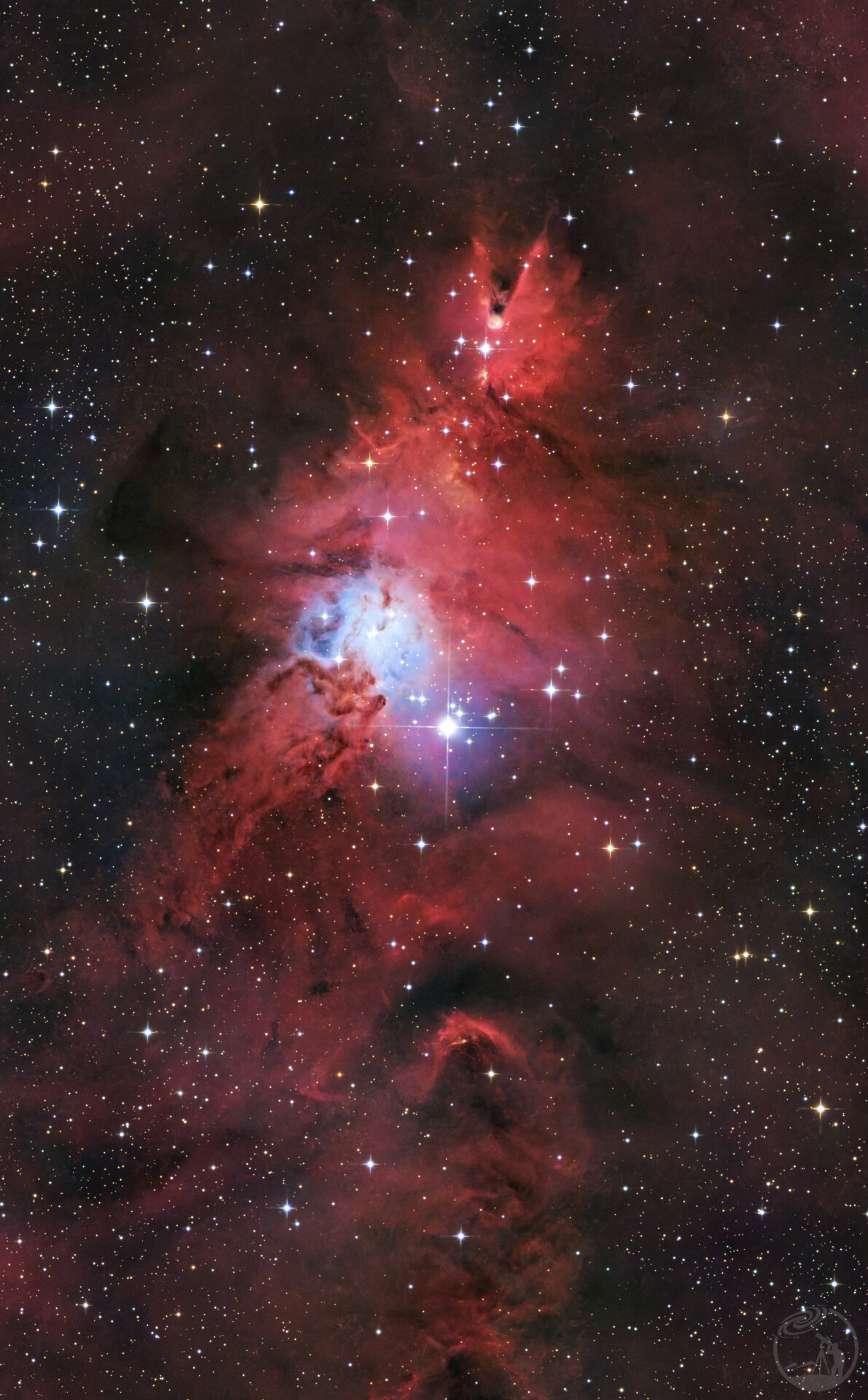 ngc2264圣诞树星云 打野快餐