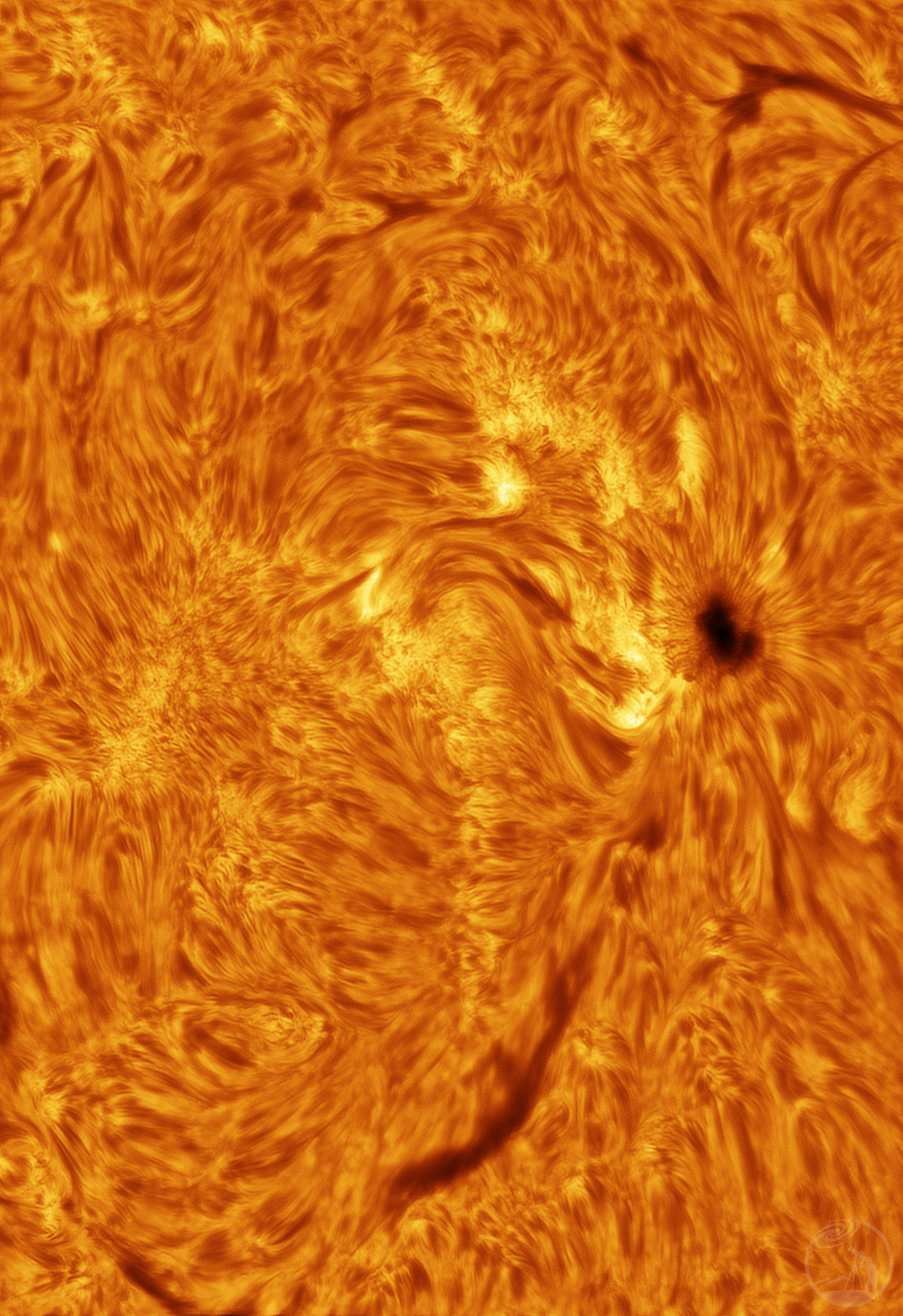 1.14 4336黑子群Hα