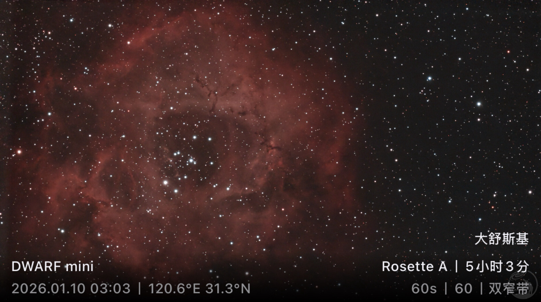 dwarf mini的玫瑰星云