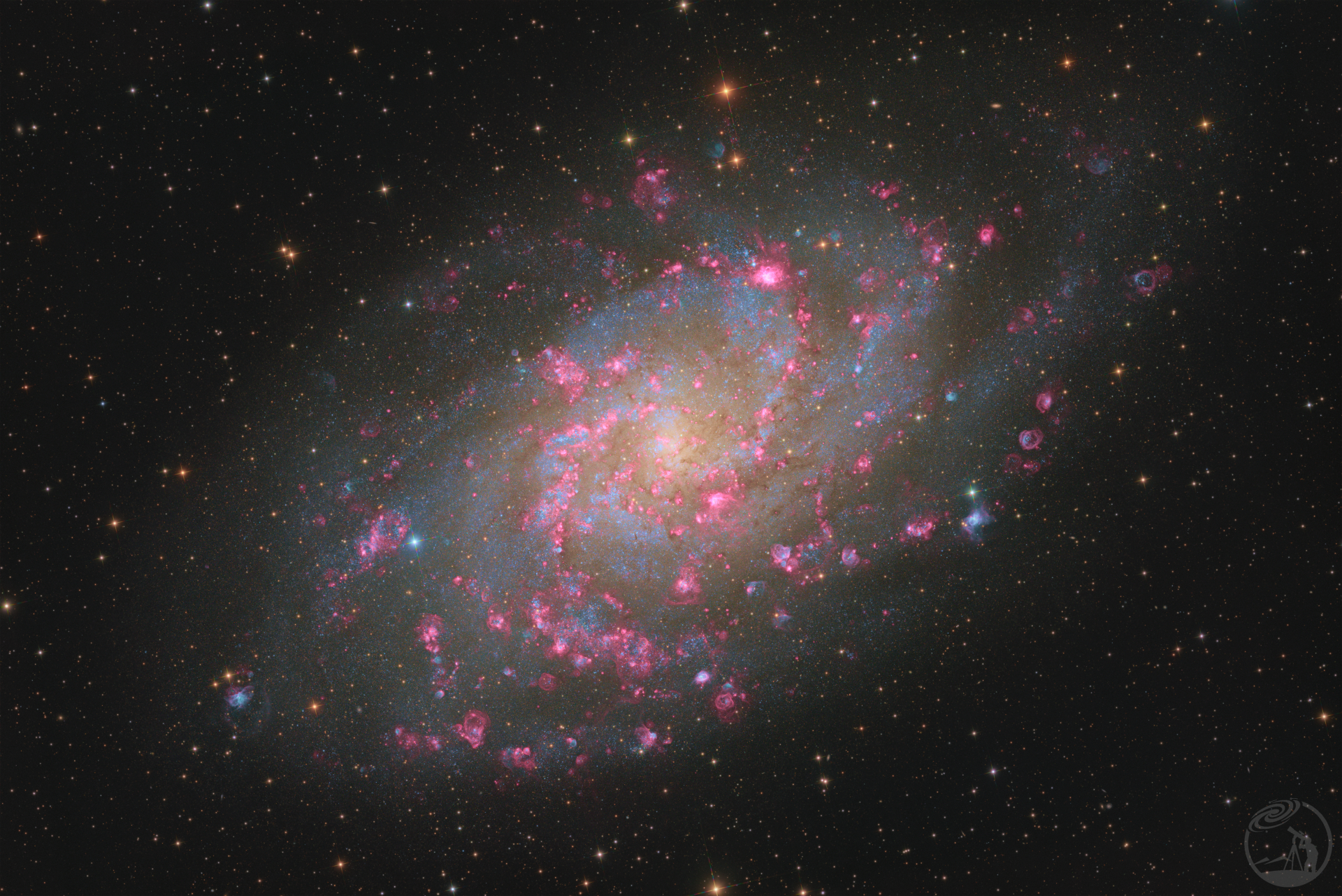 M33