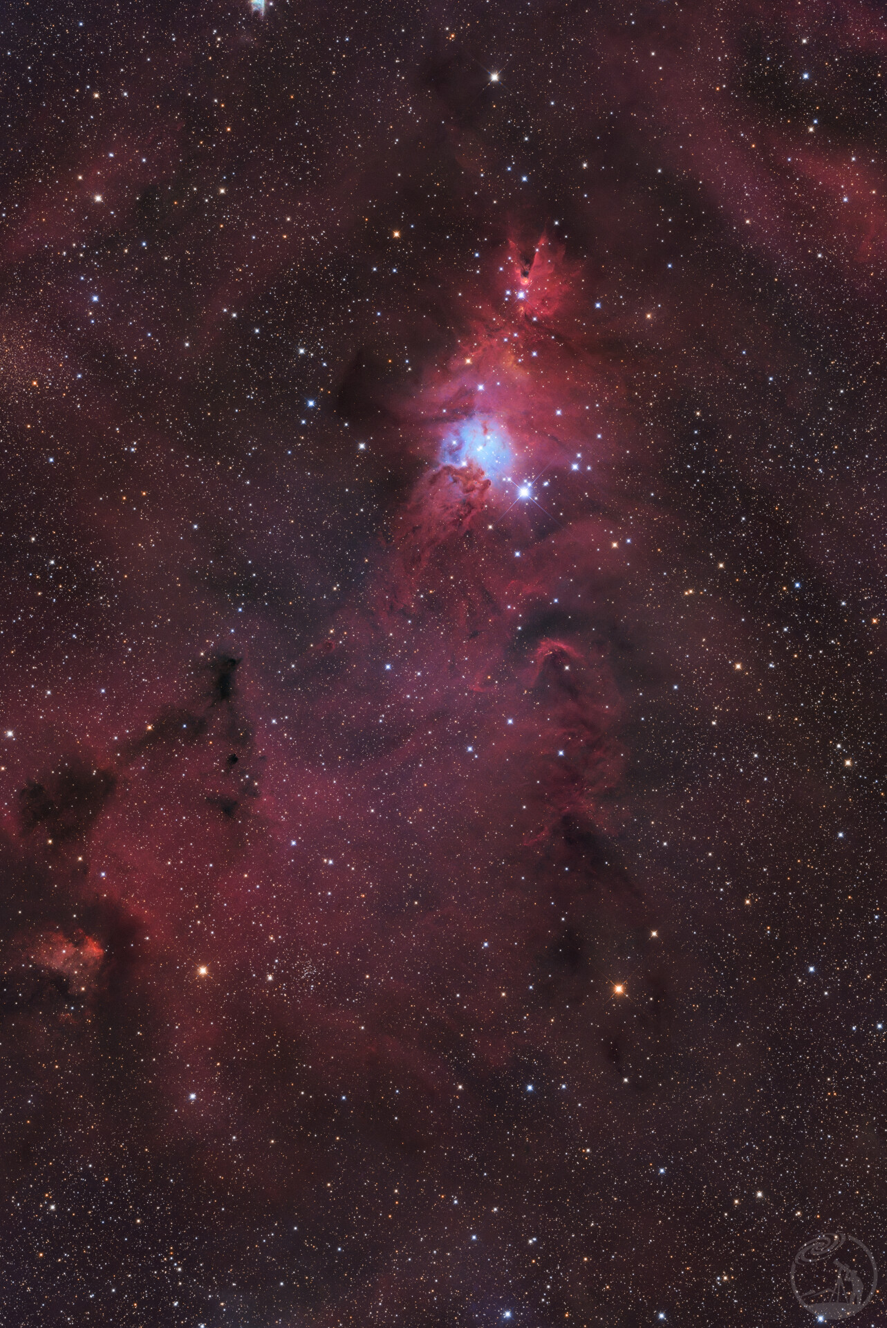 破解“开光定律”圣诞树星云 NGC2264 