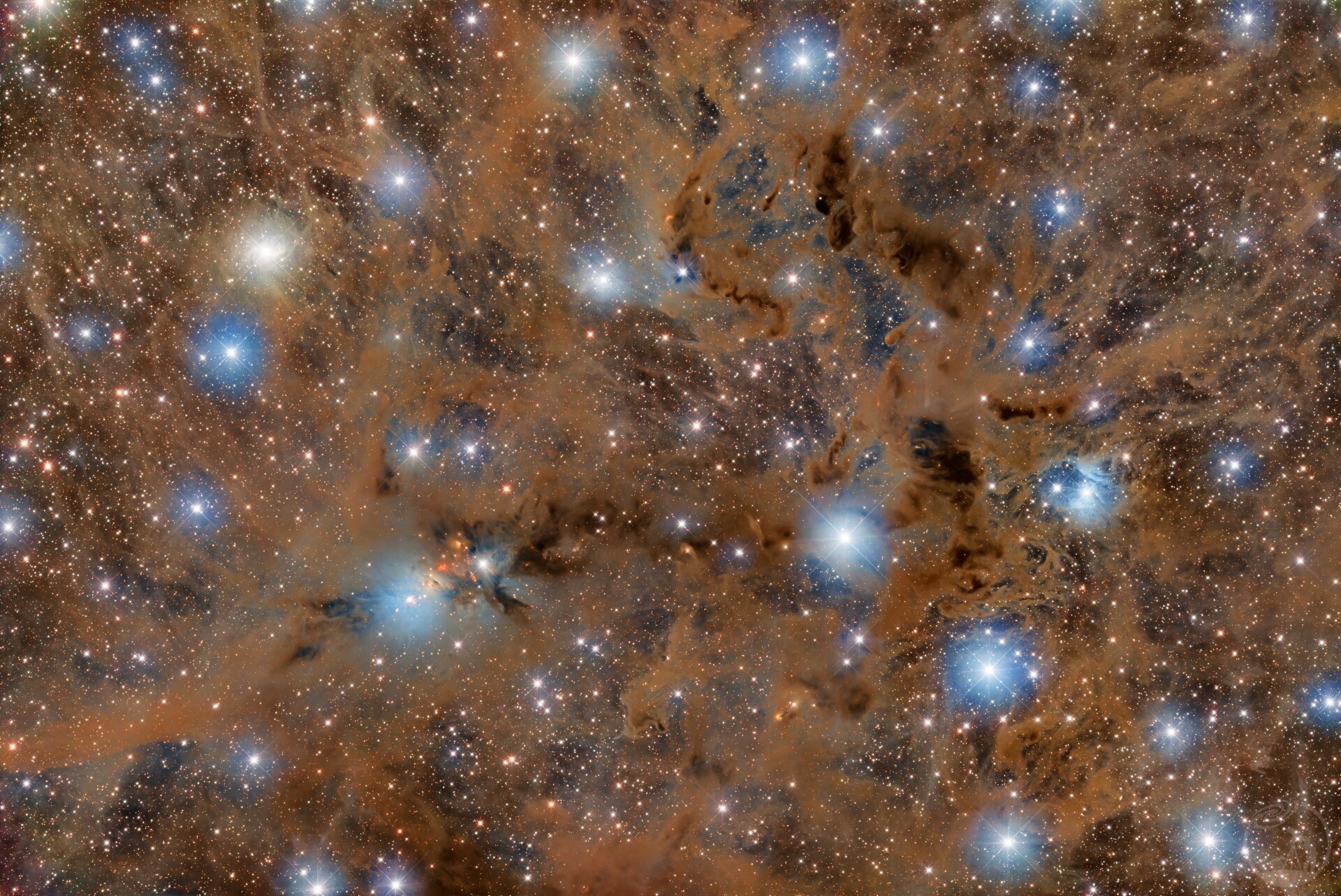 NGC1333&LDN1448