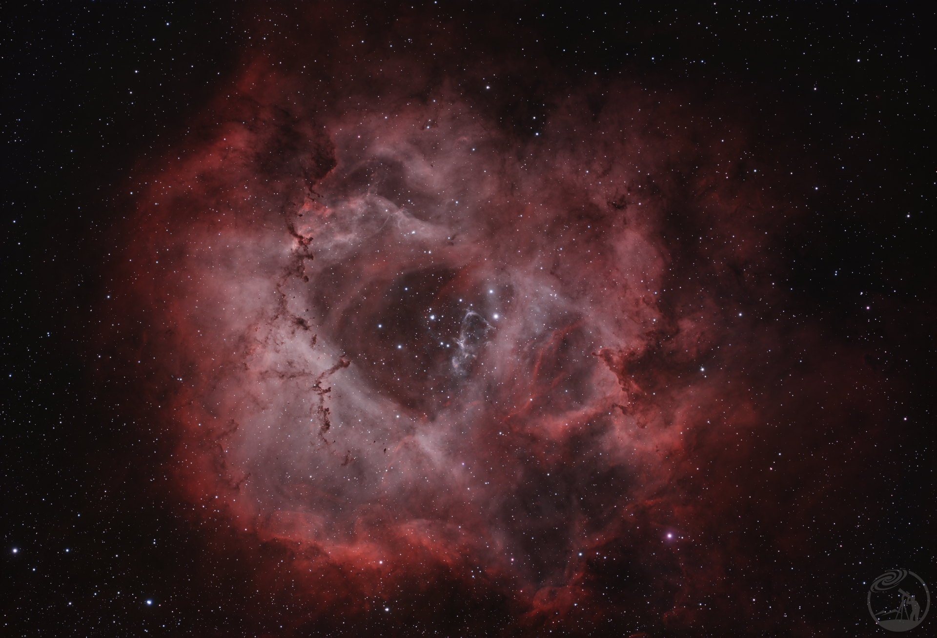 新手第二张出图-玫瑰星云