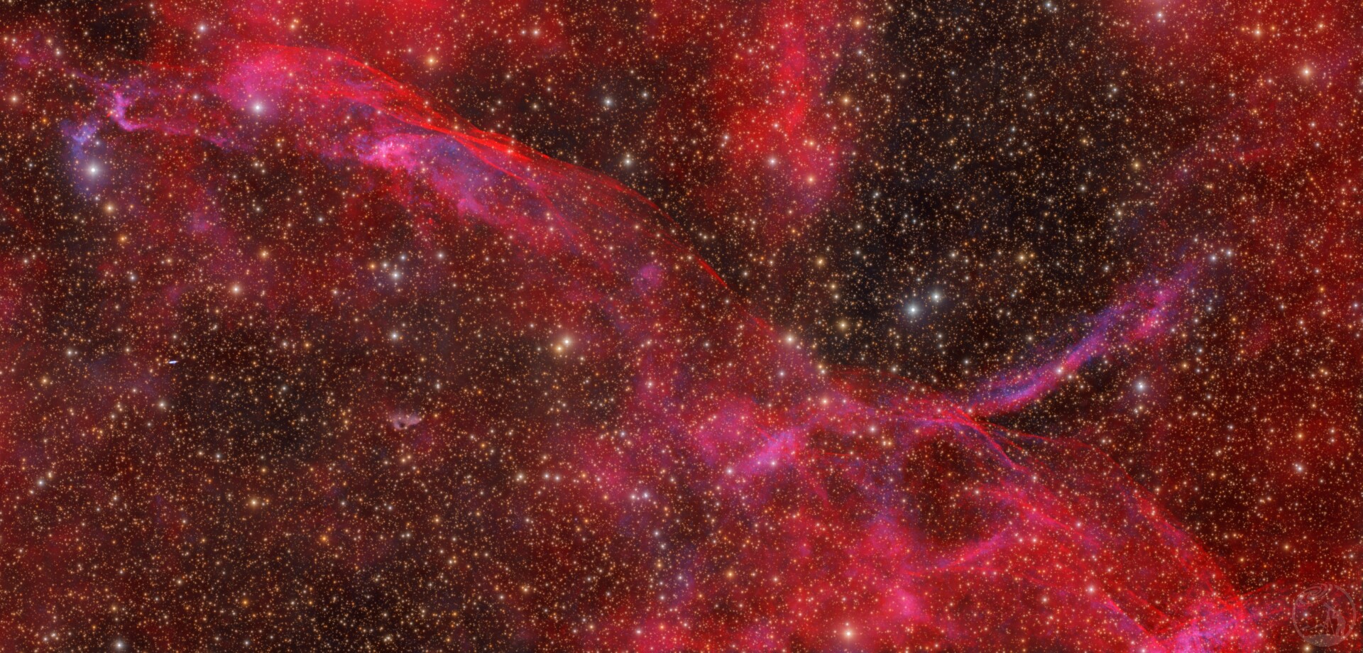 Sdtr59局部 · 赤霞缎带