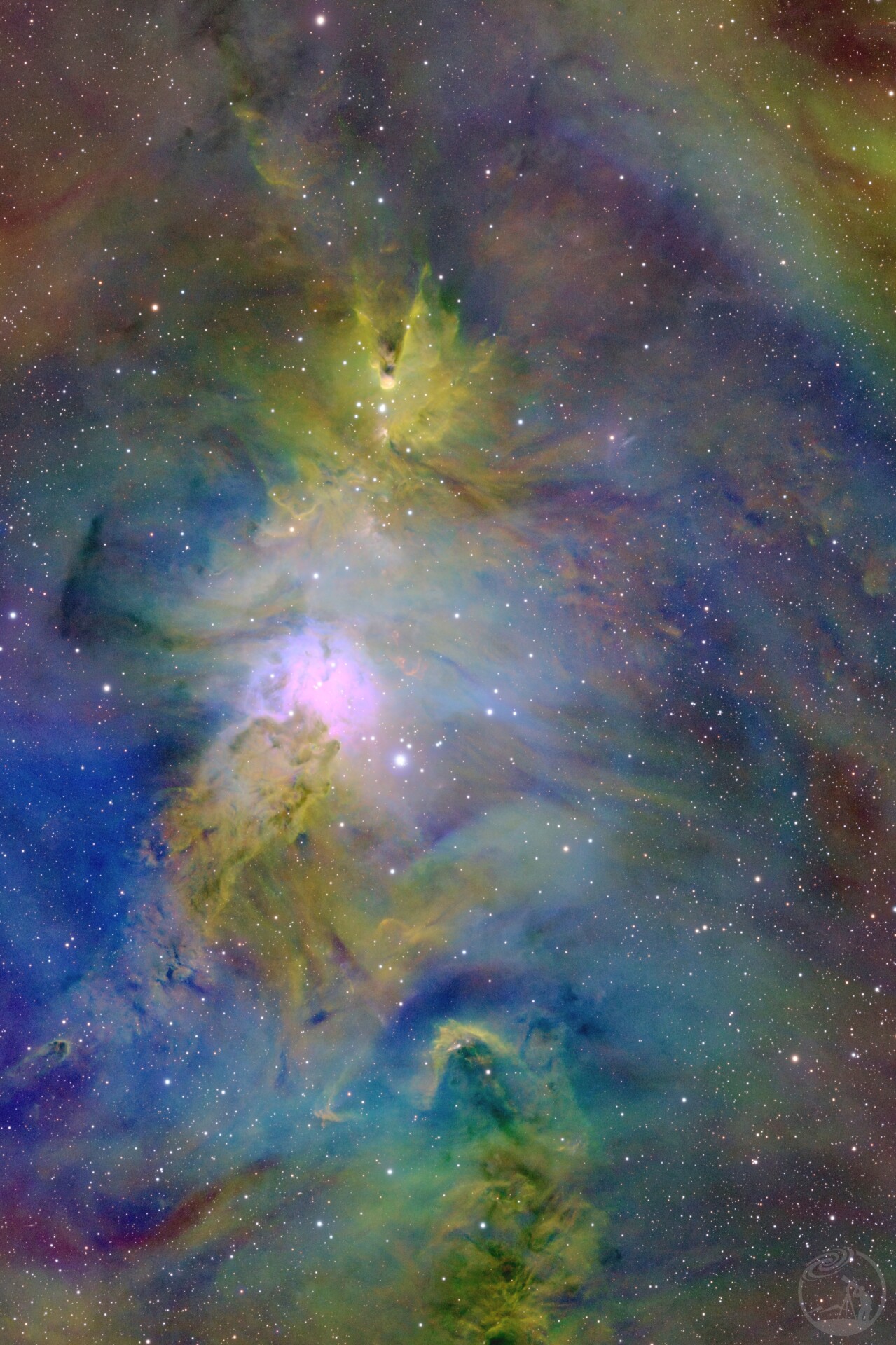 新手上路，小心驾驶