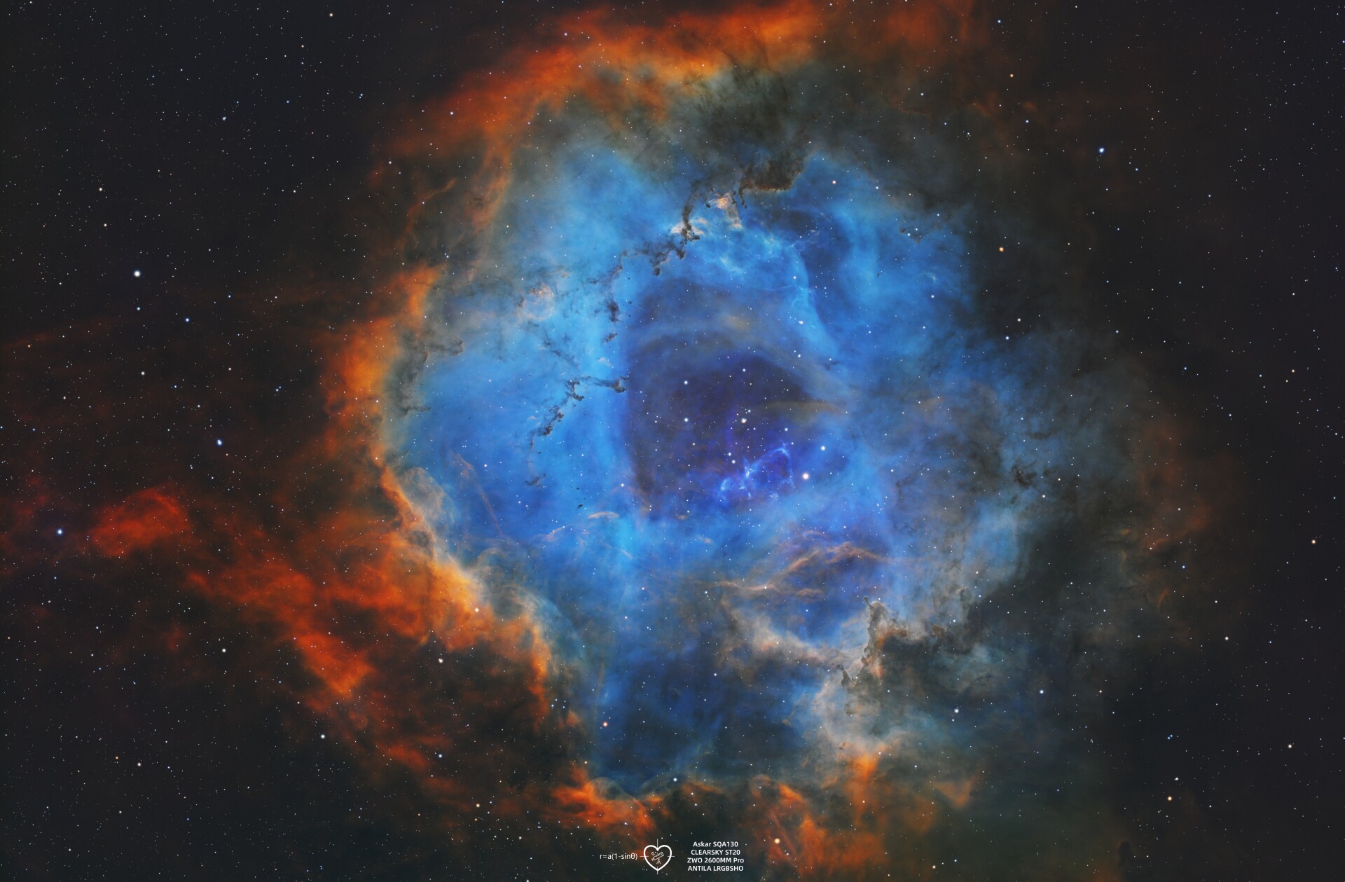 送你一朵宇宙玫瑰🌹