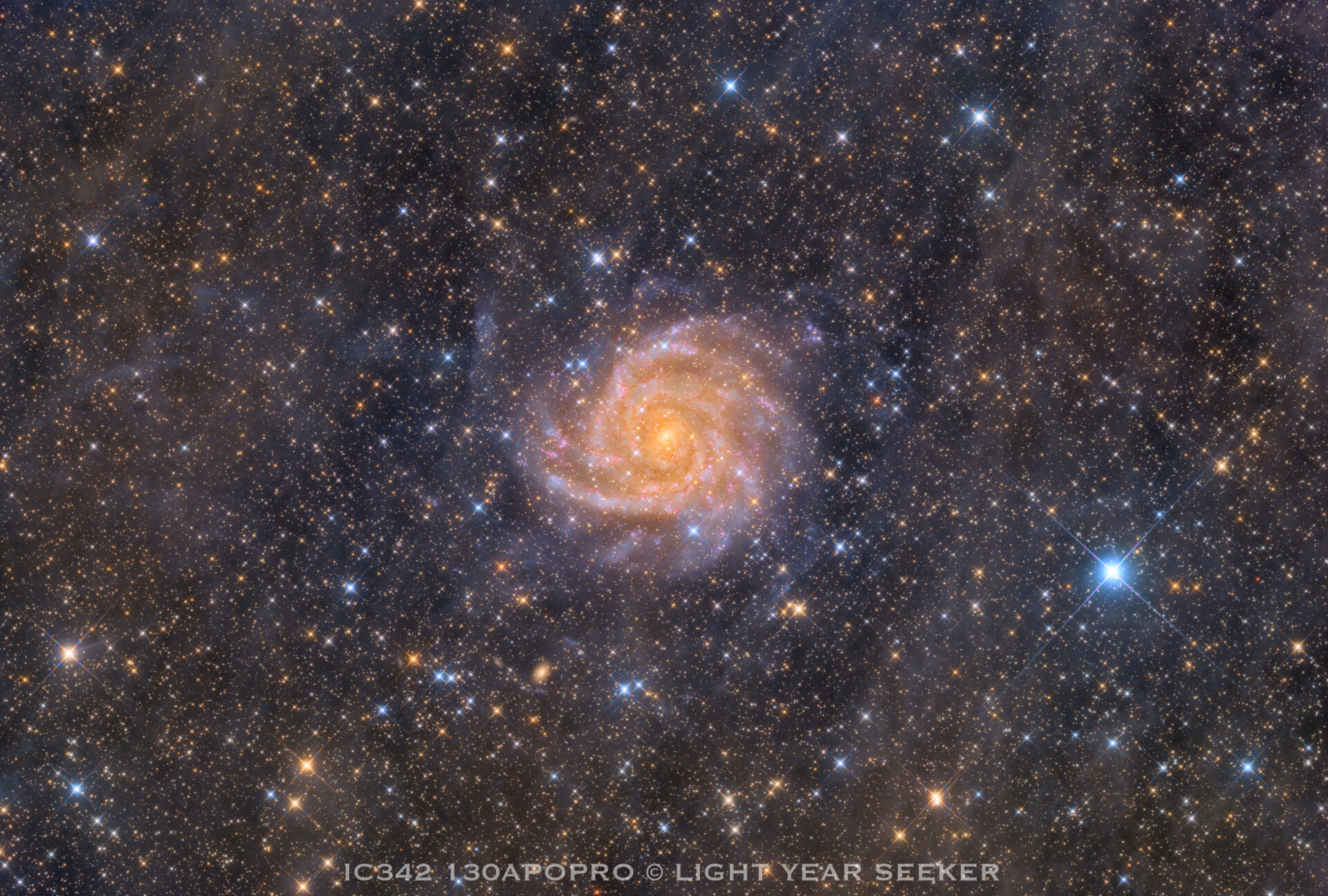 《尘埃之下的璀璨》