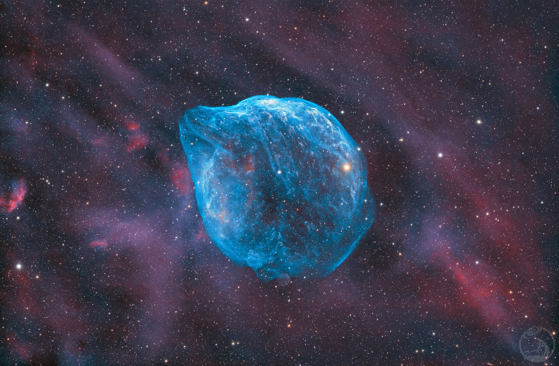 海豚星云打野最终版