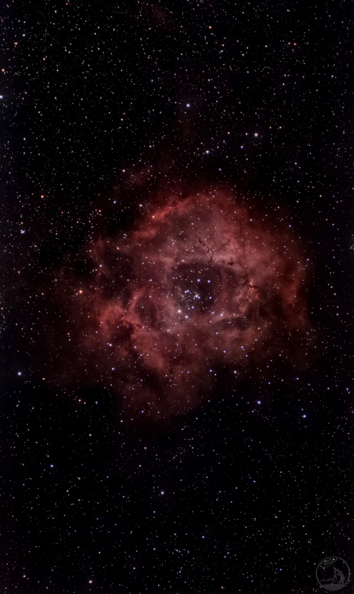 总有星空太上头|C50深空玫瑰（S30pro）