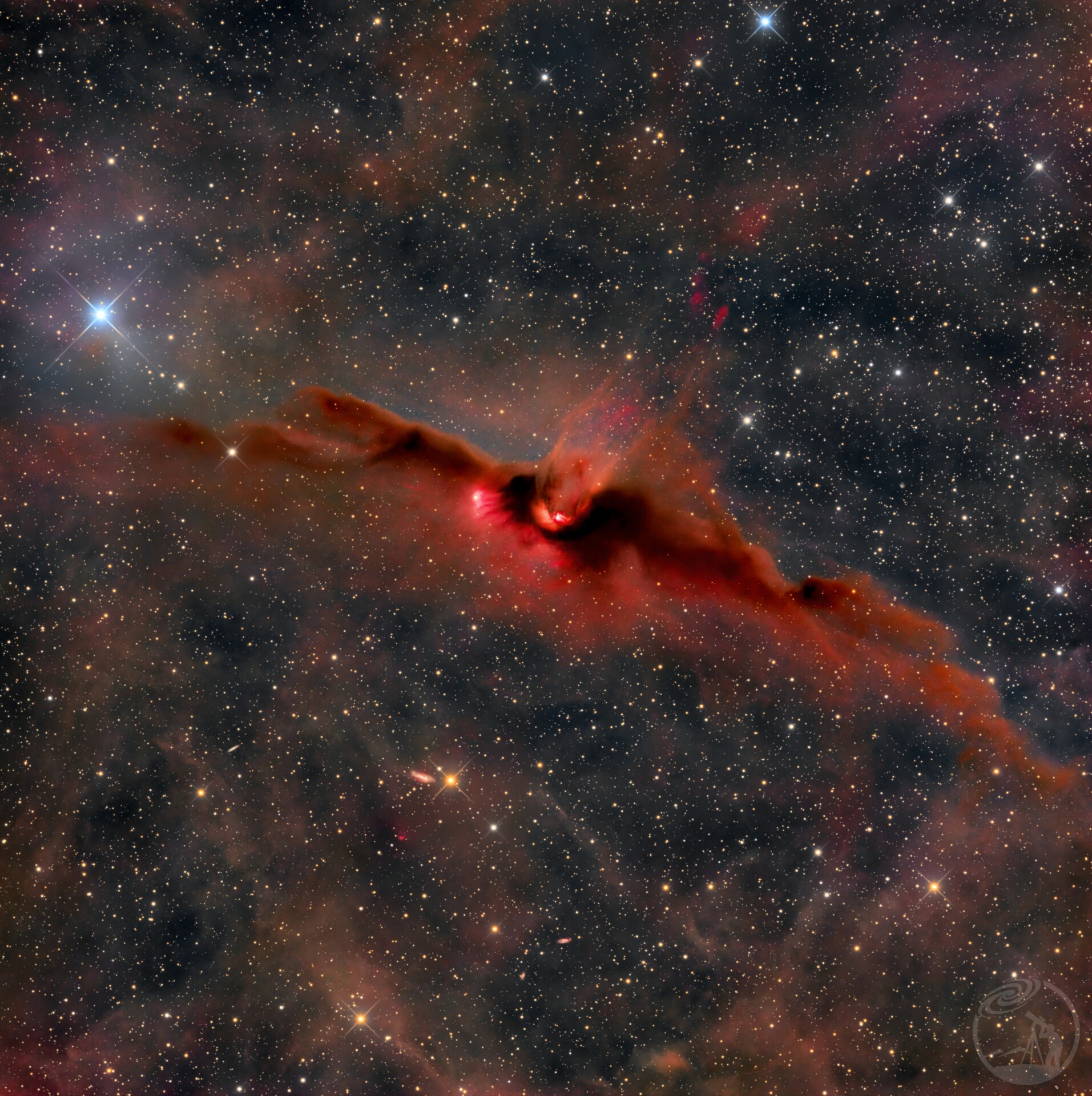 飞天蝙蝠——卷土重来